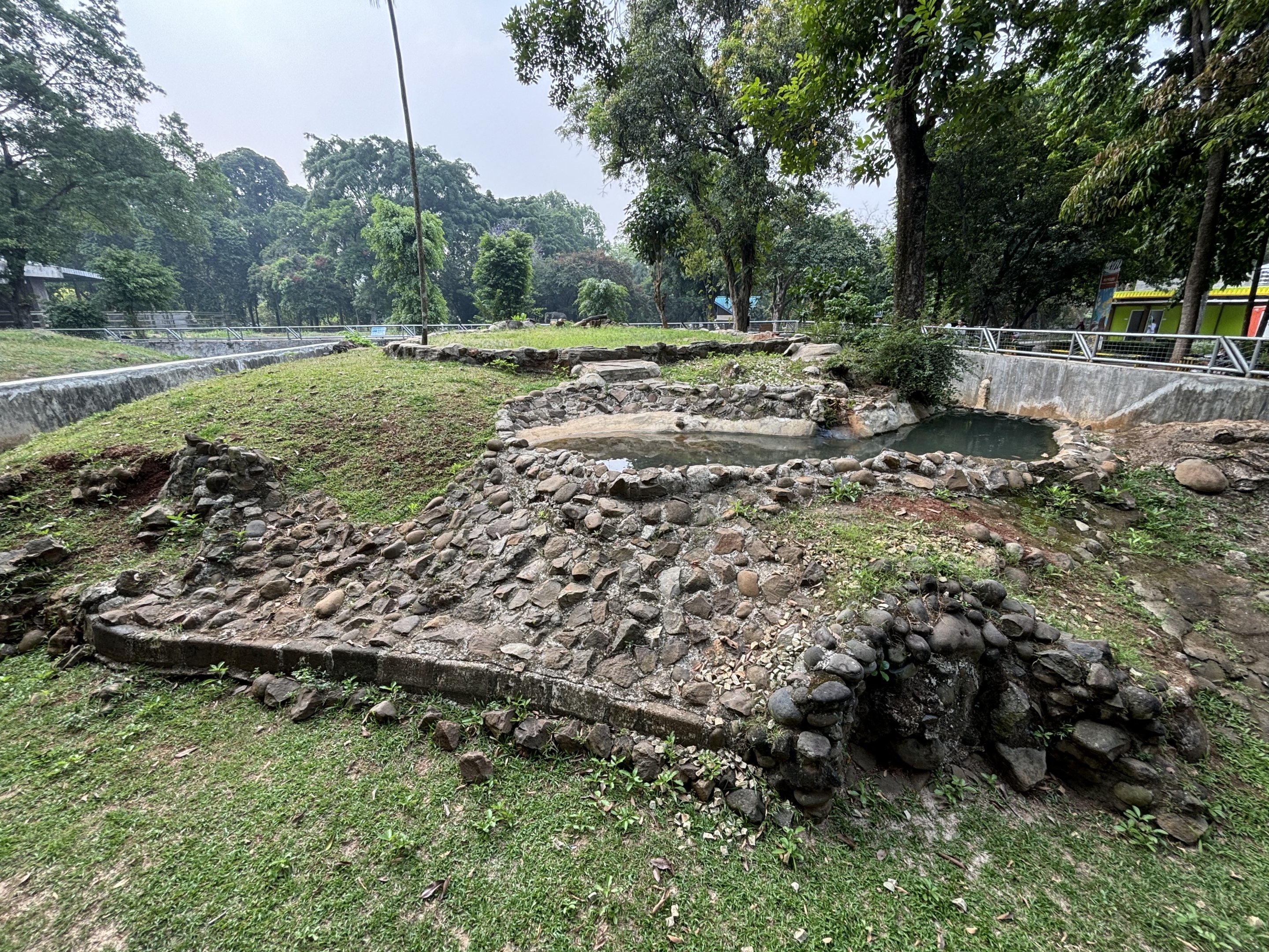 Komodo Dragon Complex