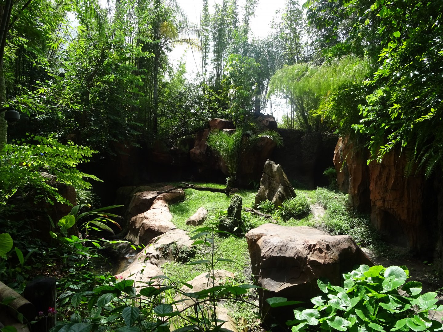 Komodo Dragon Enclosure at Disney's Animal Kingdom (2014)