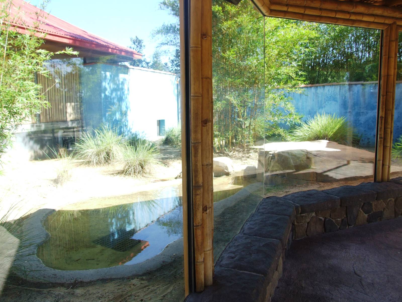 Komodo Dragon Enclosure at Jacksonville, 10/10/13