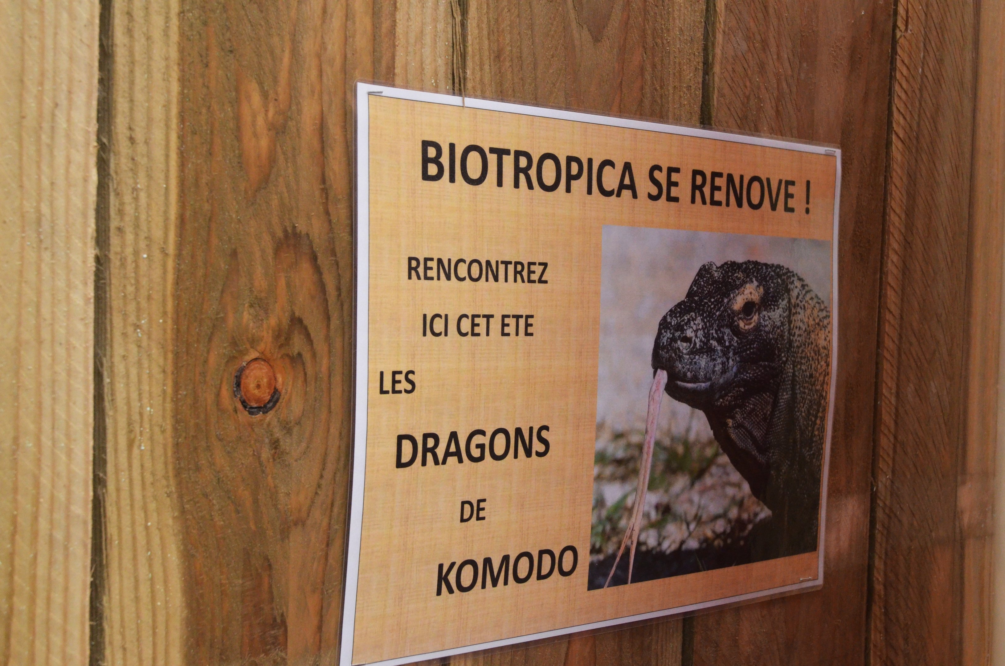 Komodo Dragon Enclosure Construction at Biotropica, 16/06/18