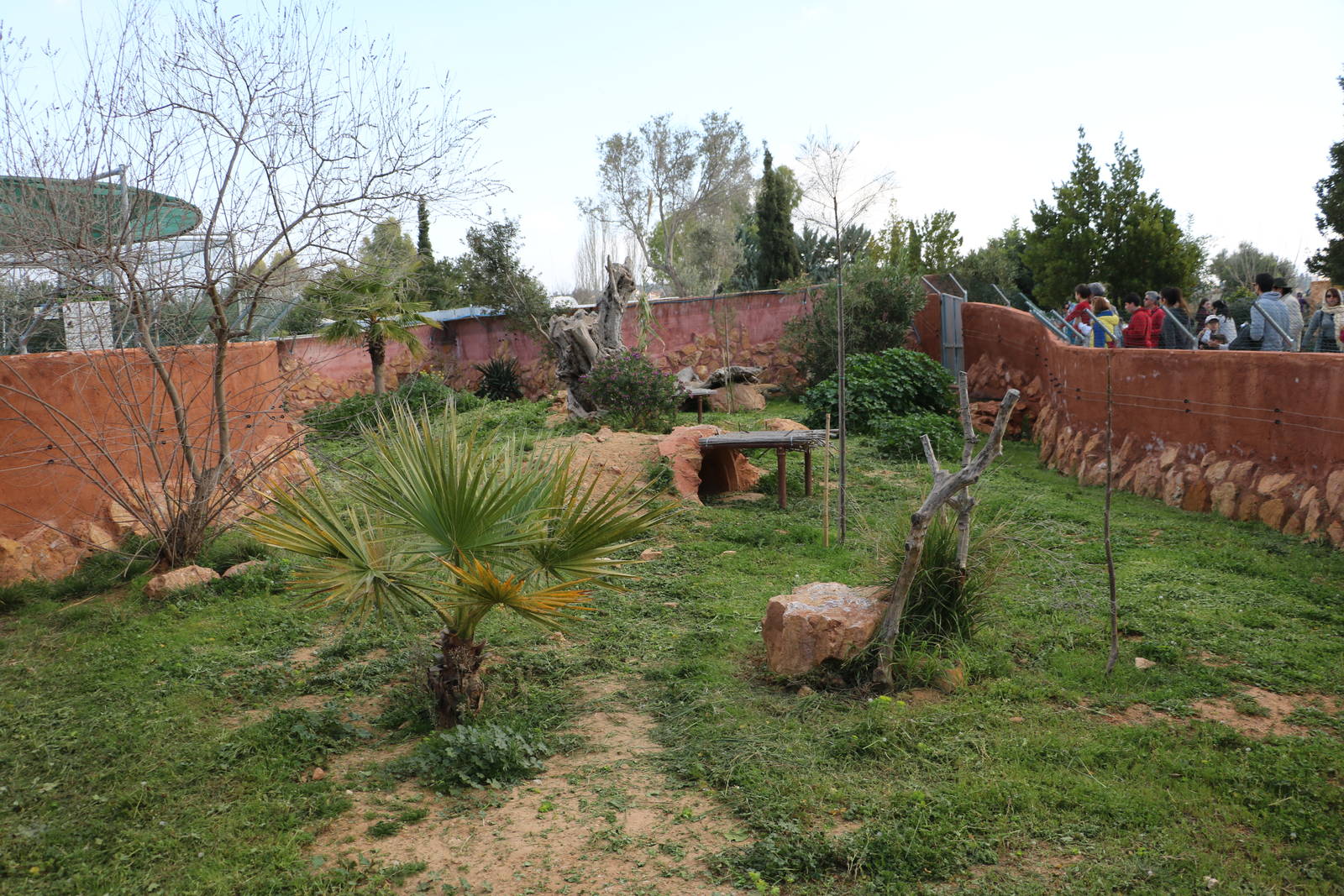 Komodo dragon enclosure, February 2016