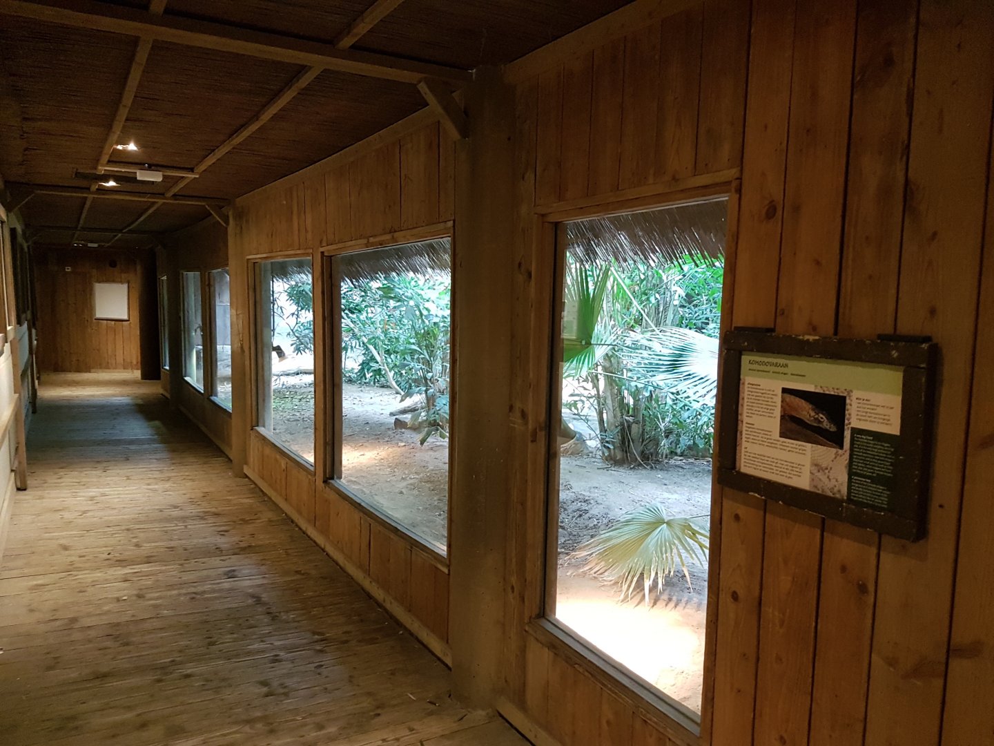 Komodo dragon-enclosure - Riviera Hall