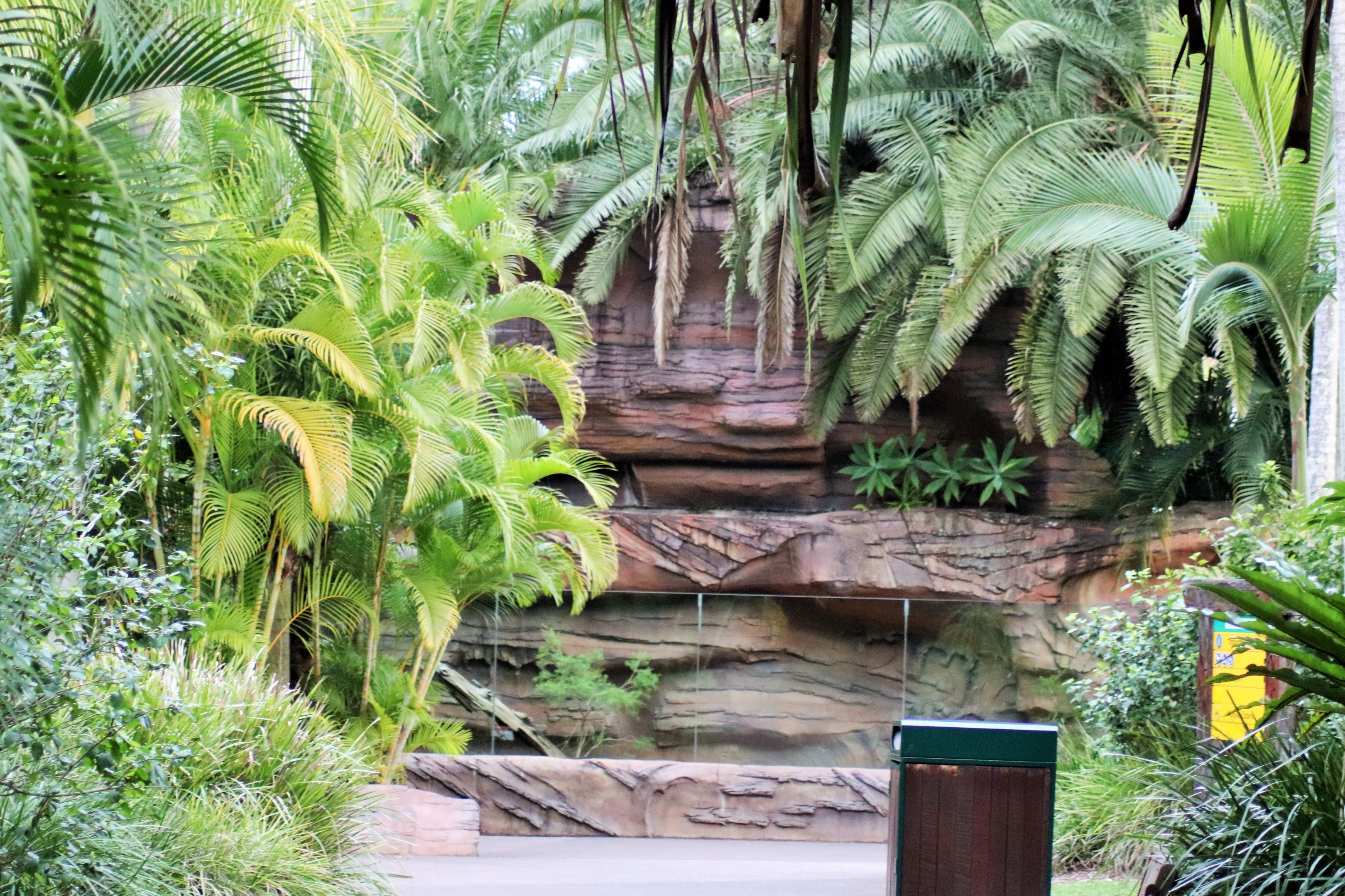 Komodo Dragon Enclosure- Viewing Area