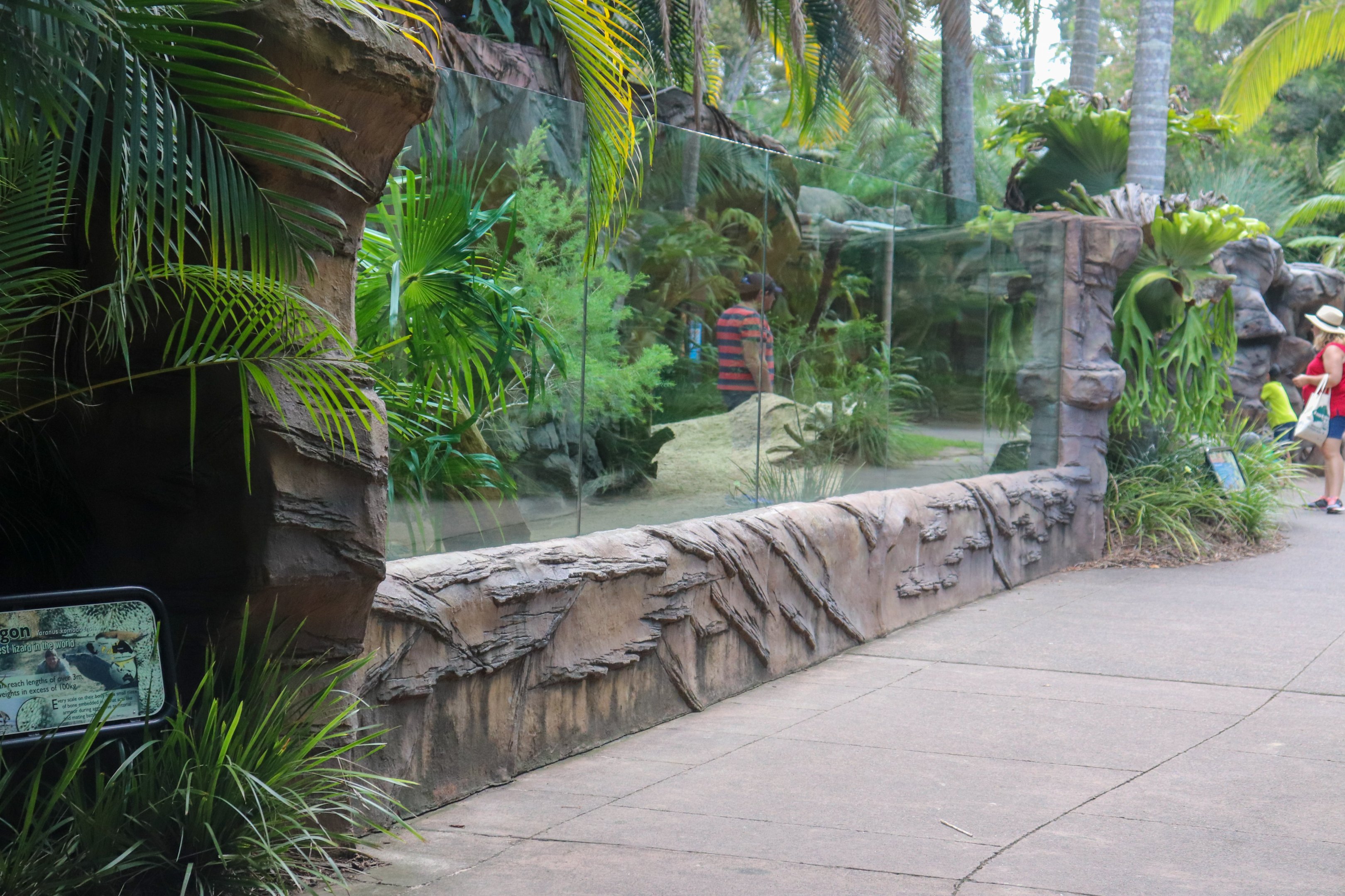 Komodo Dragon Enclosure