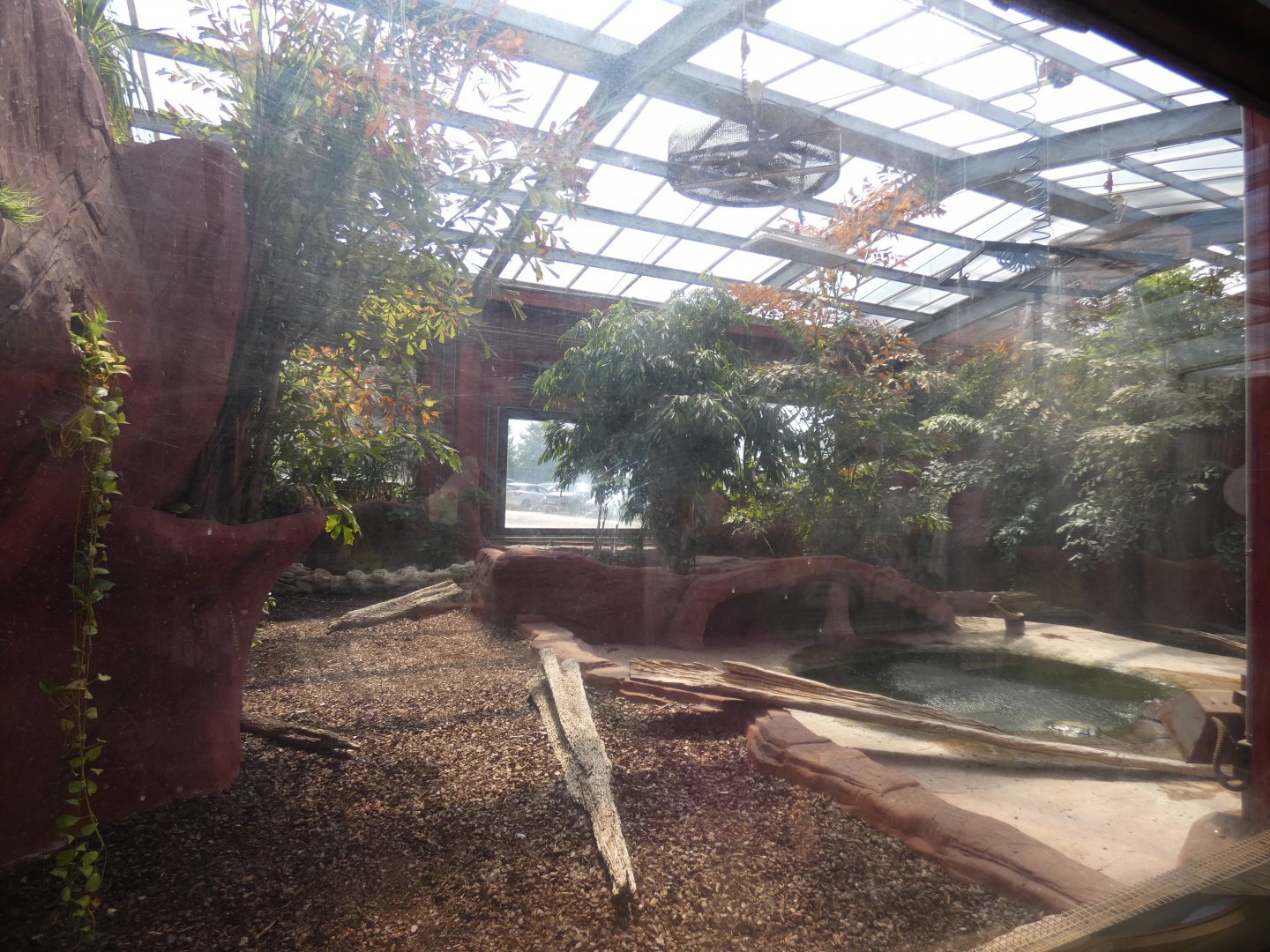 Komodo Dragon enclosure