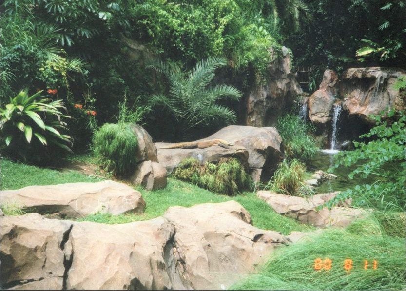 Komodo Dragon enclosure