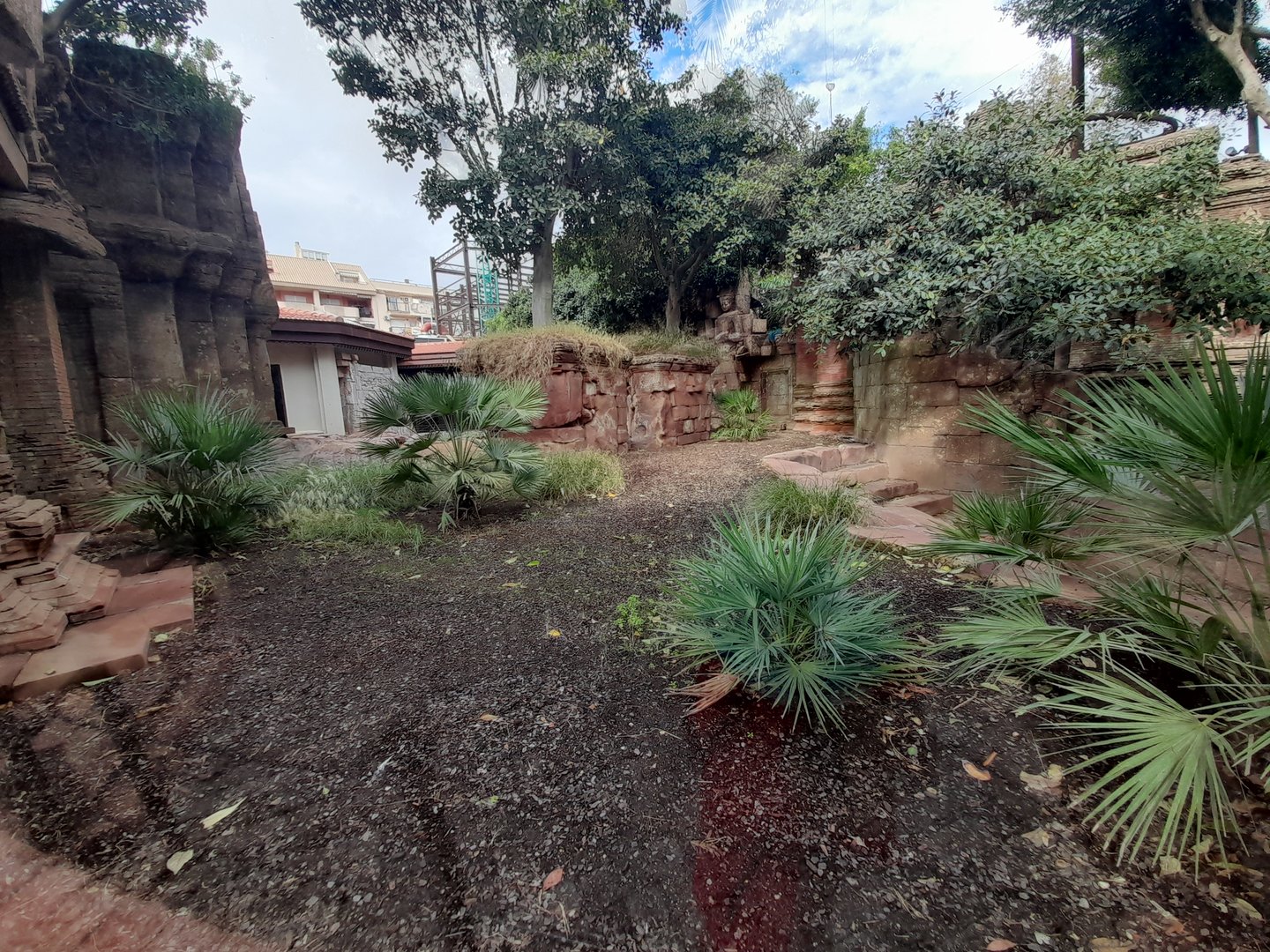 Komodo Dragon - enclosure