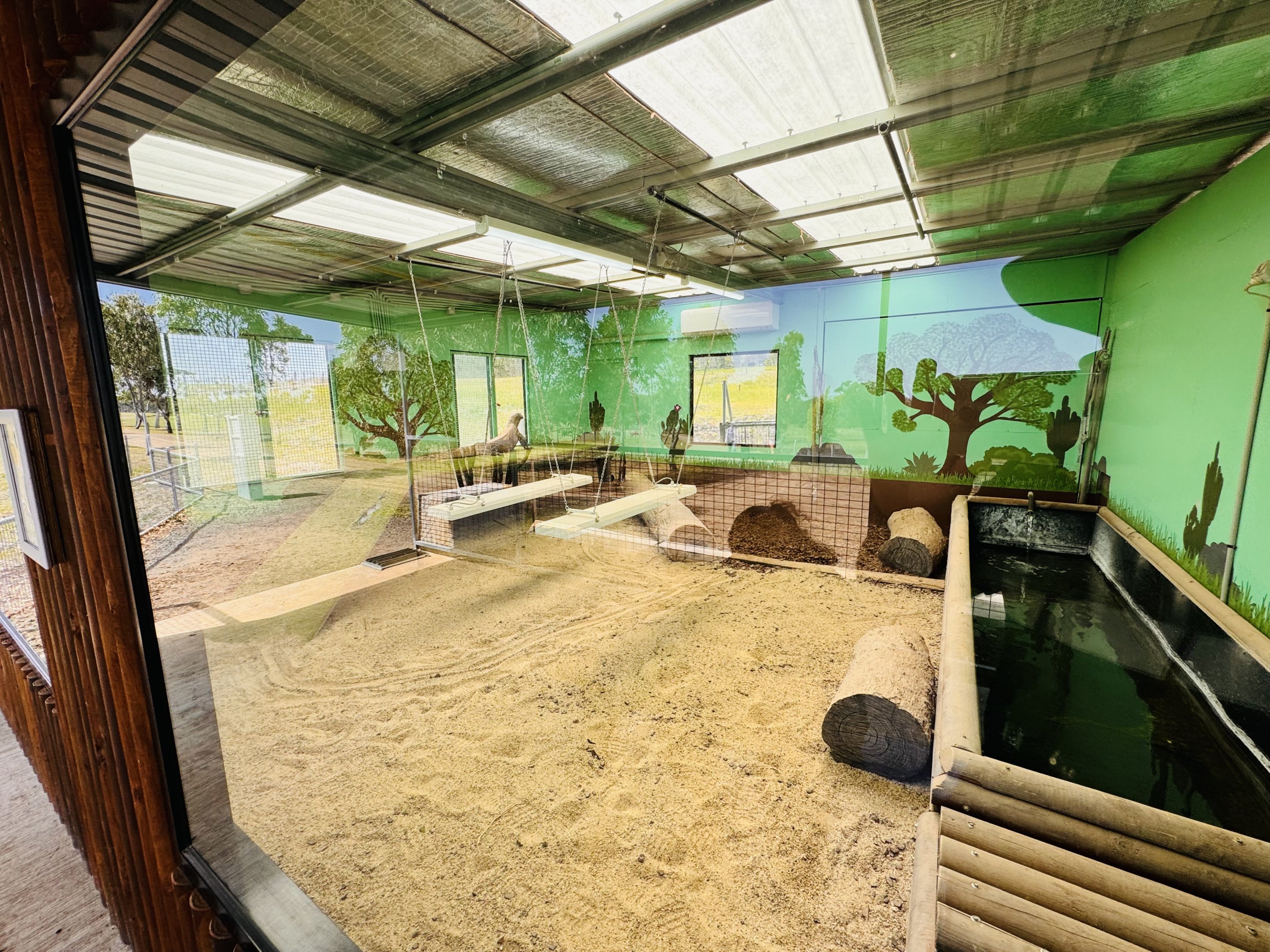 Komodo dragon enclosure