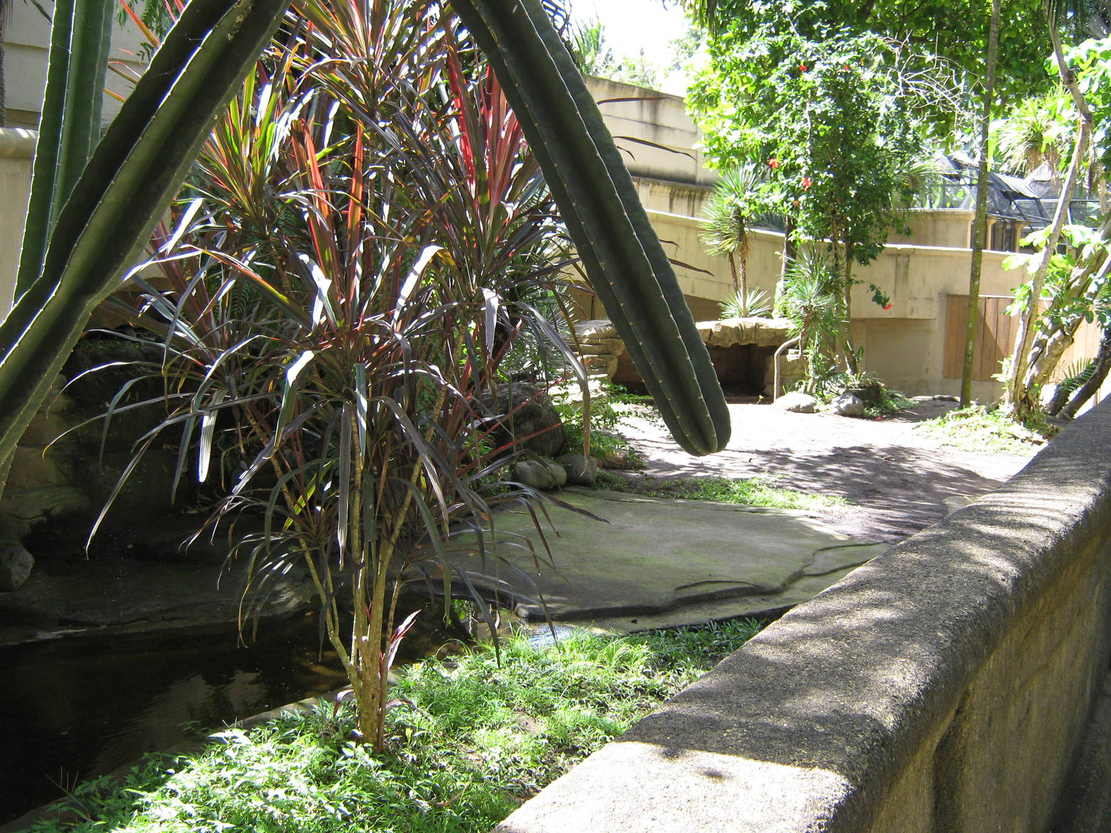 Komodo dragon enclosure