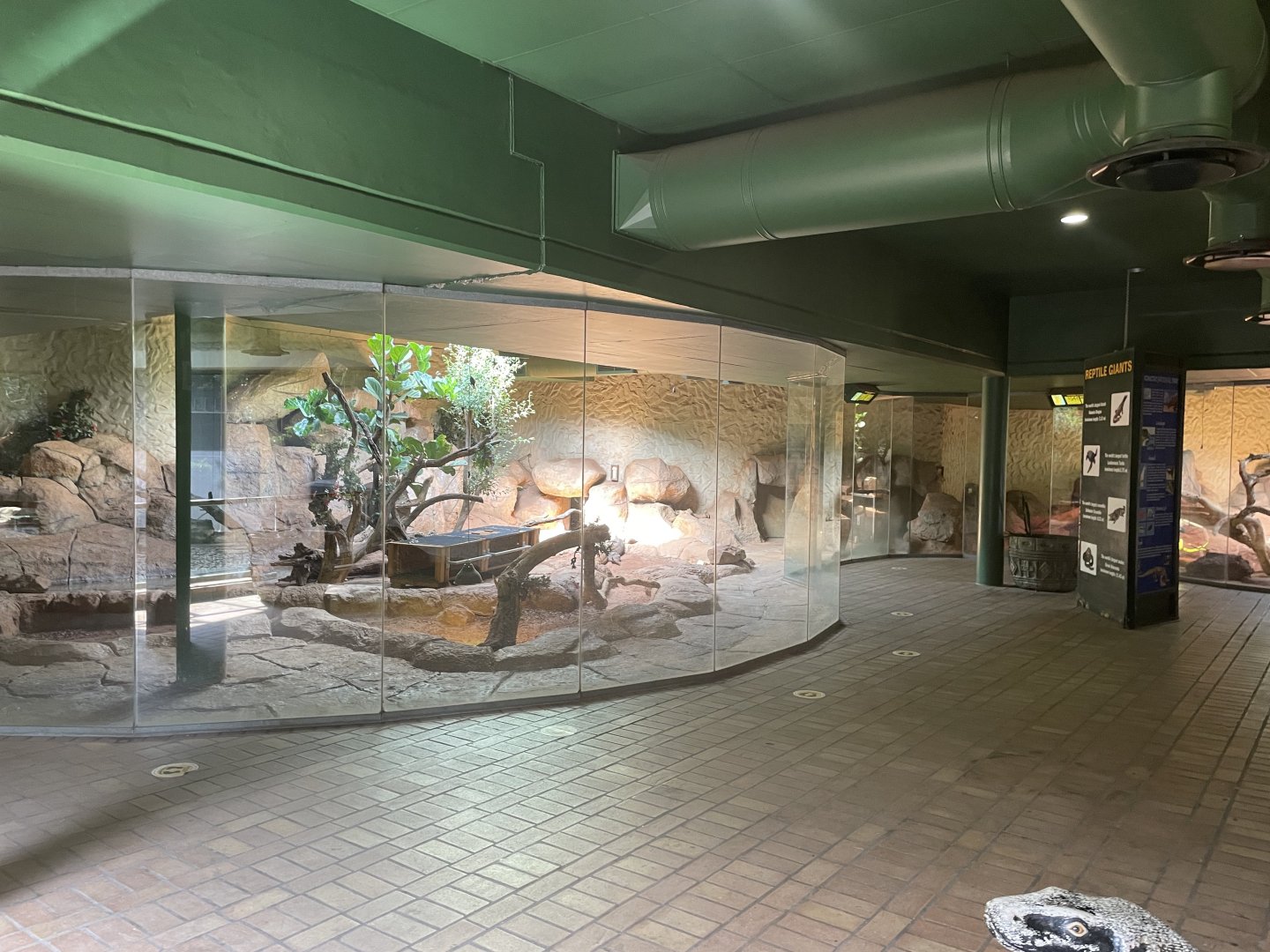 Komodo Dragon Enclosures (Varanus komodoensis)