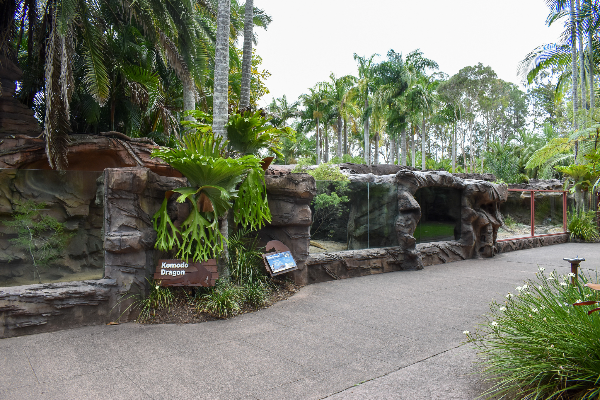 Komodo Dragon Enclosures