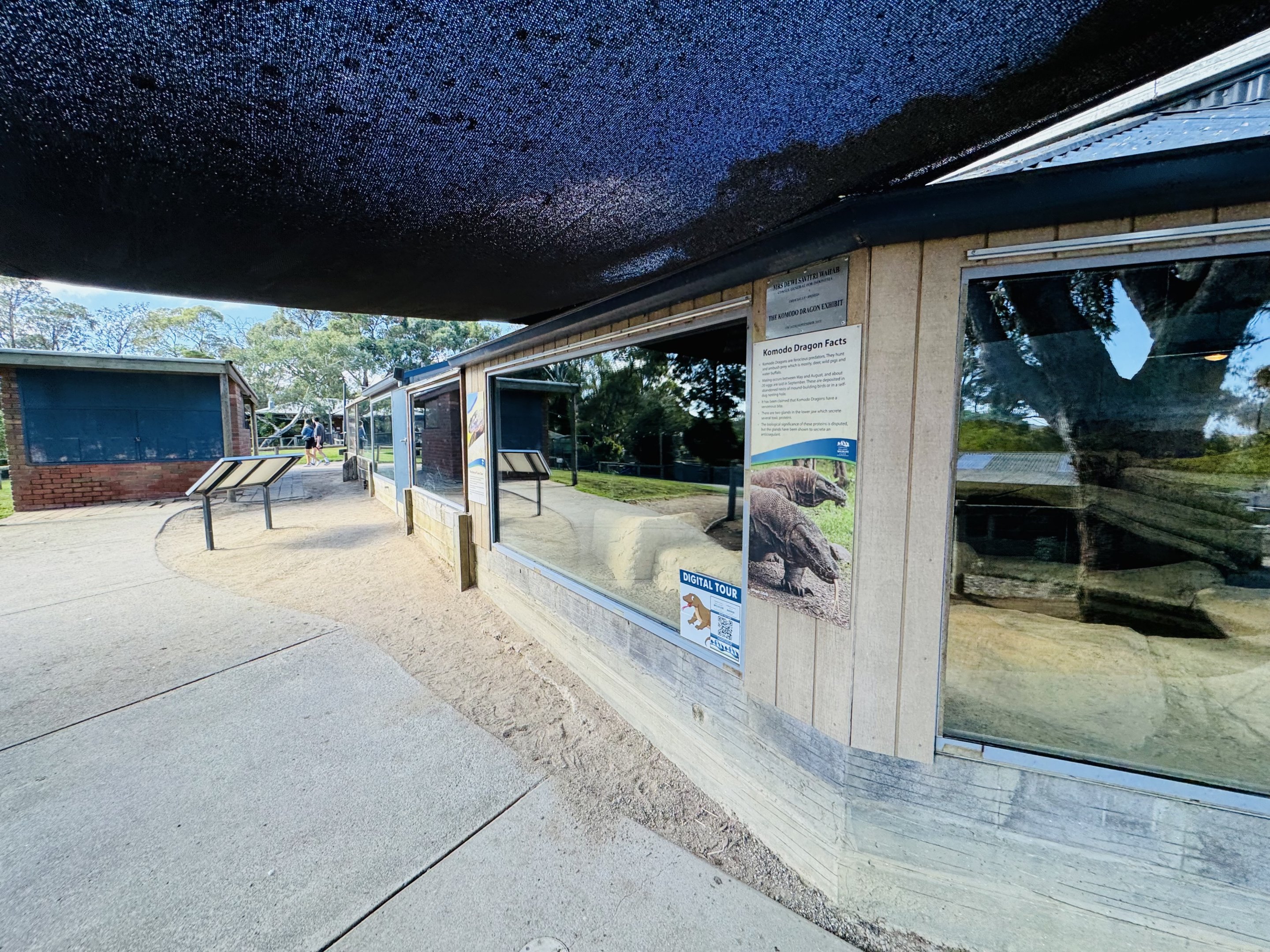 Komodo Dragon enclosures