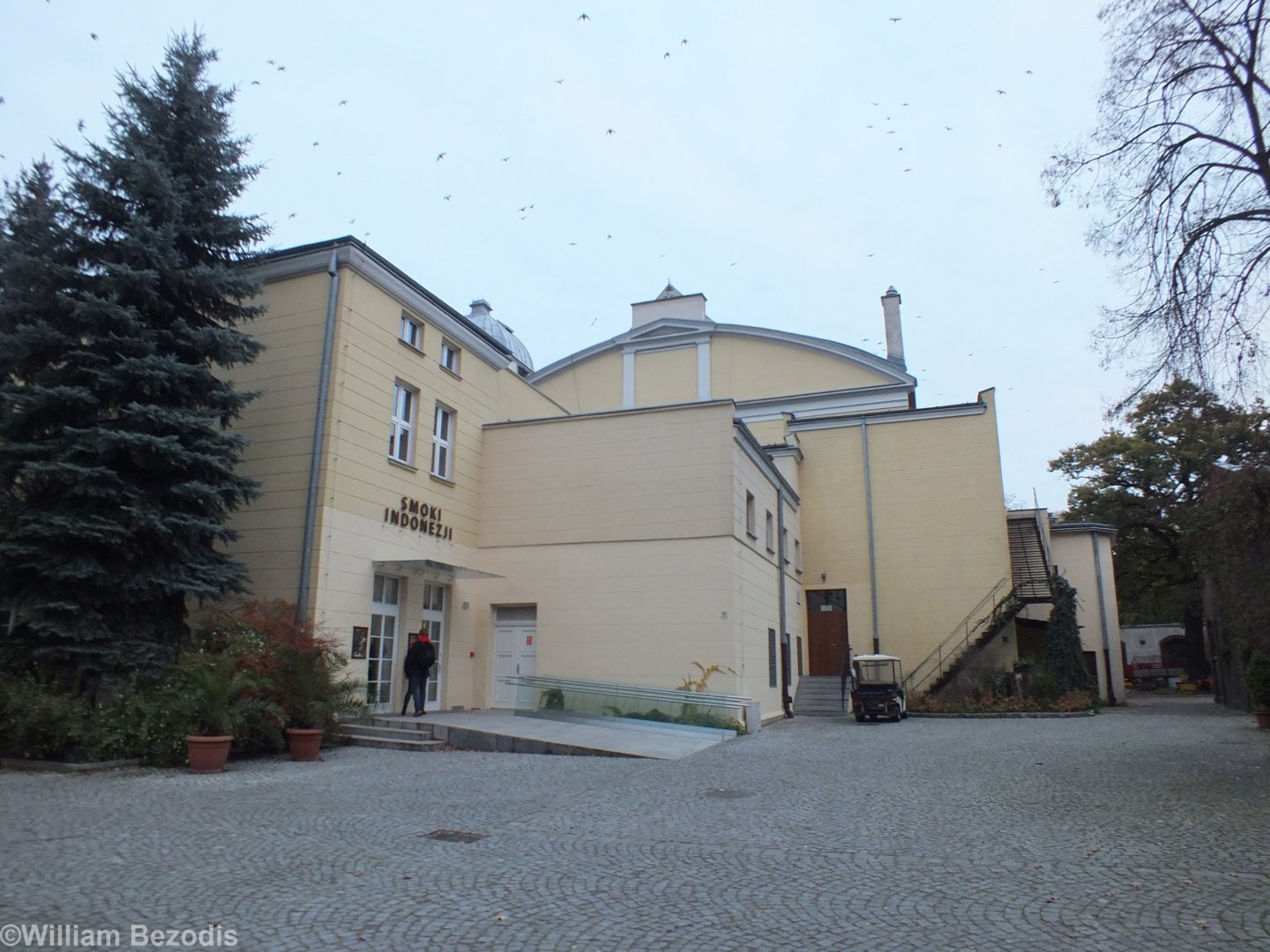 Komodo Dragon Entrance to the Terrarium - Wroclaw Zoo Terrarium
