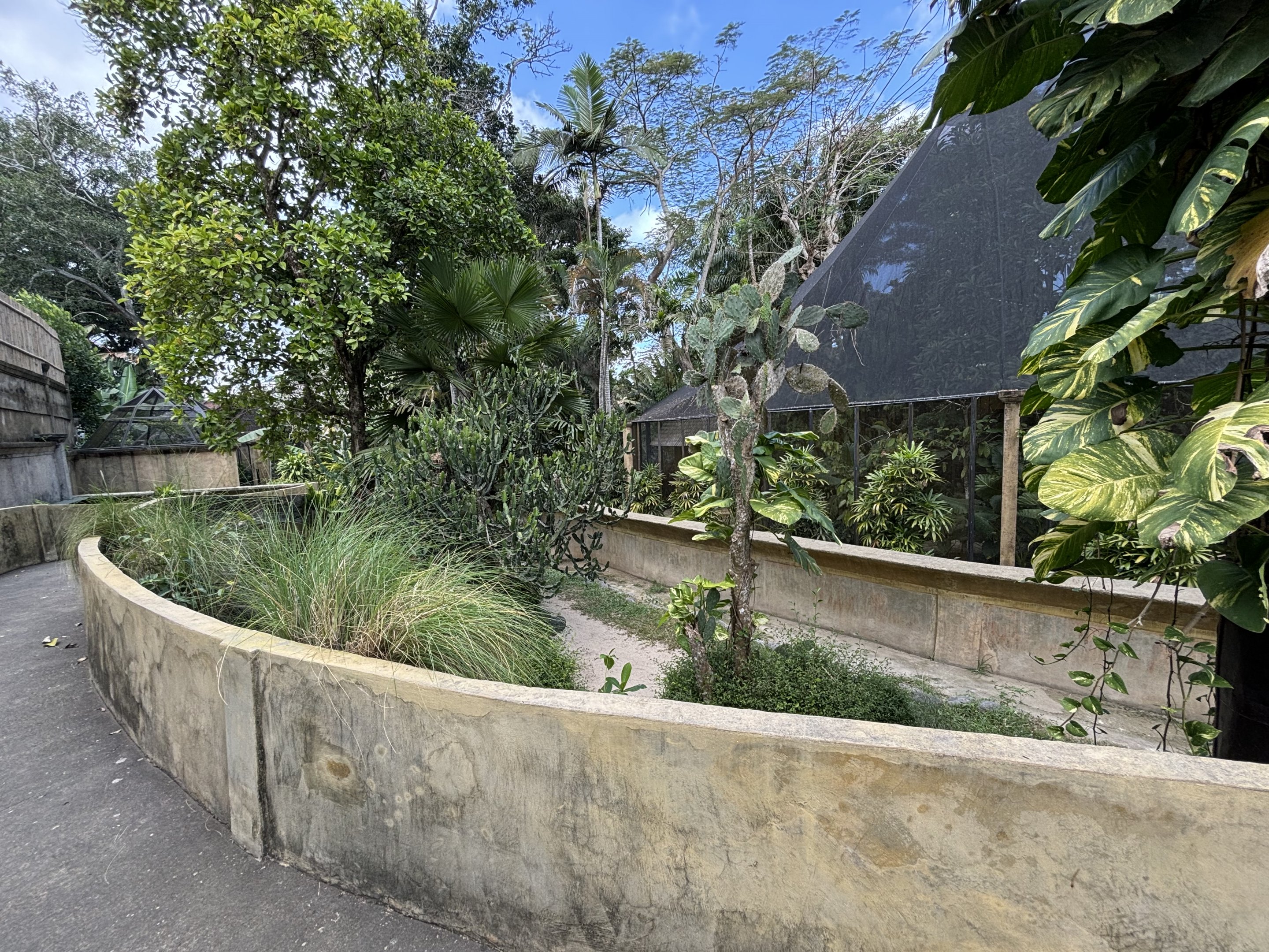 Komodo Dragon Exhibit #1