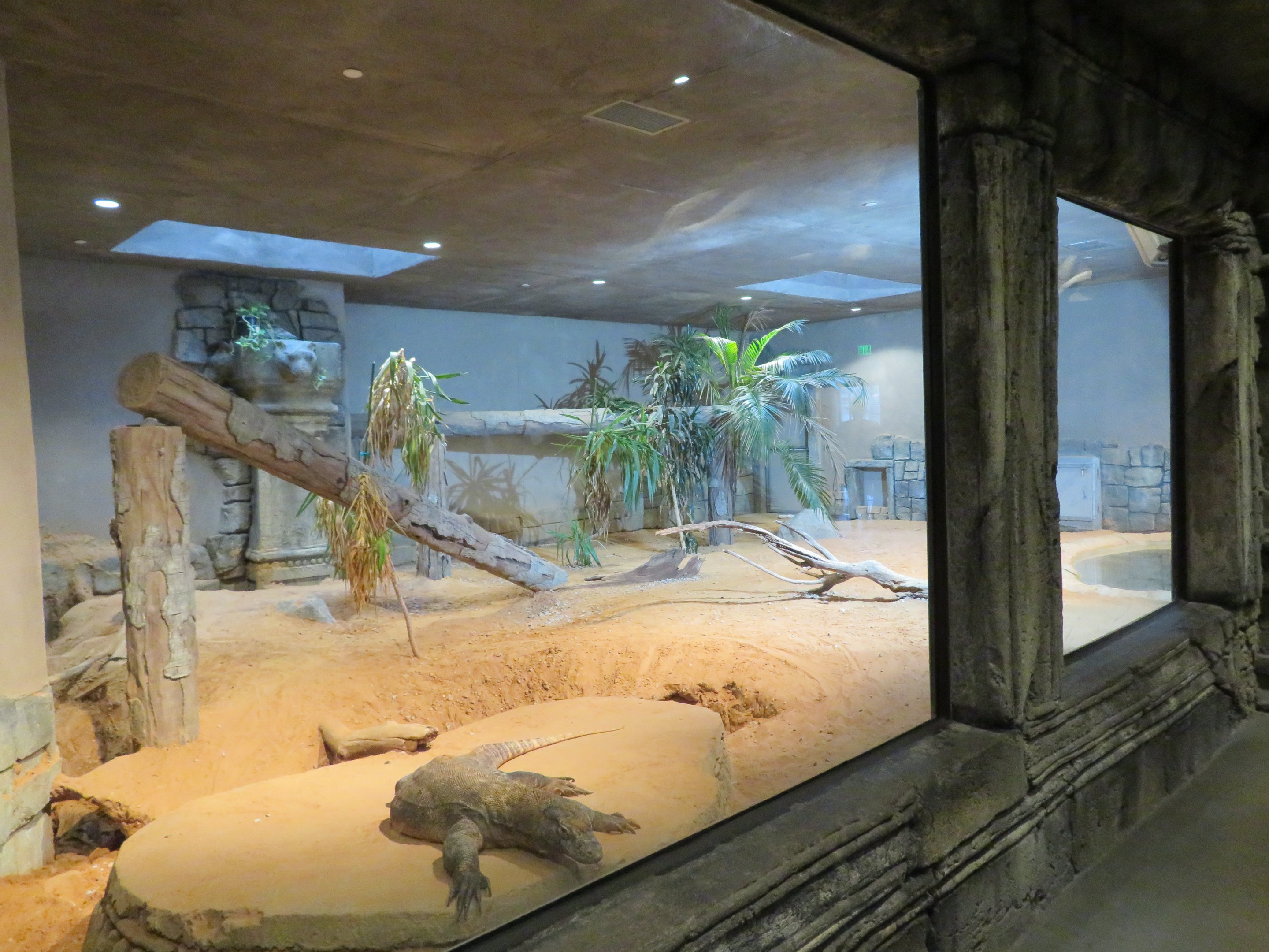 Komodo Dragon Exhibit (2 of 2)