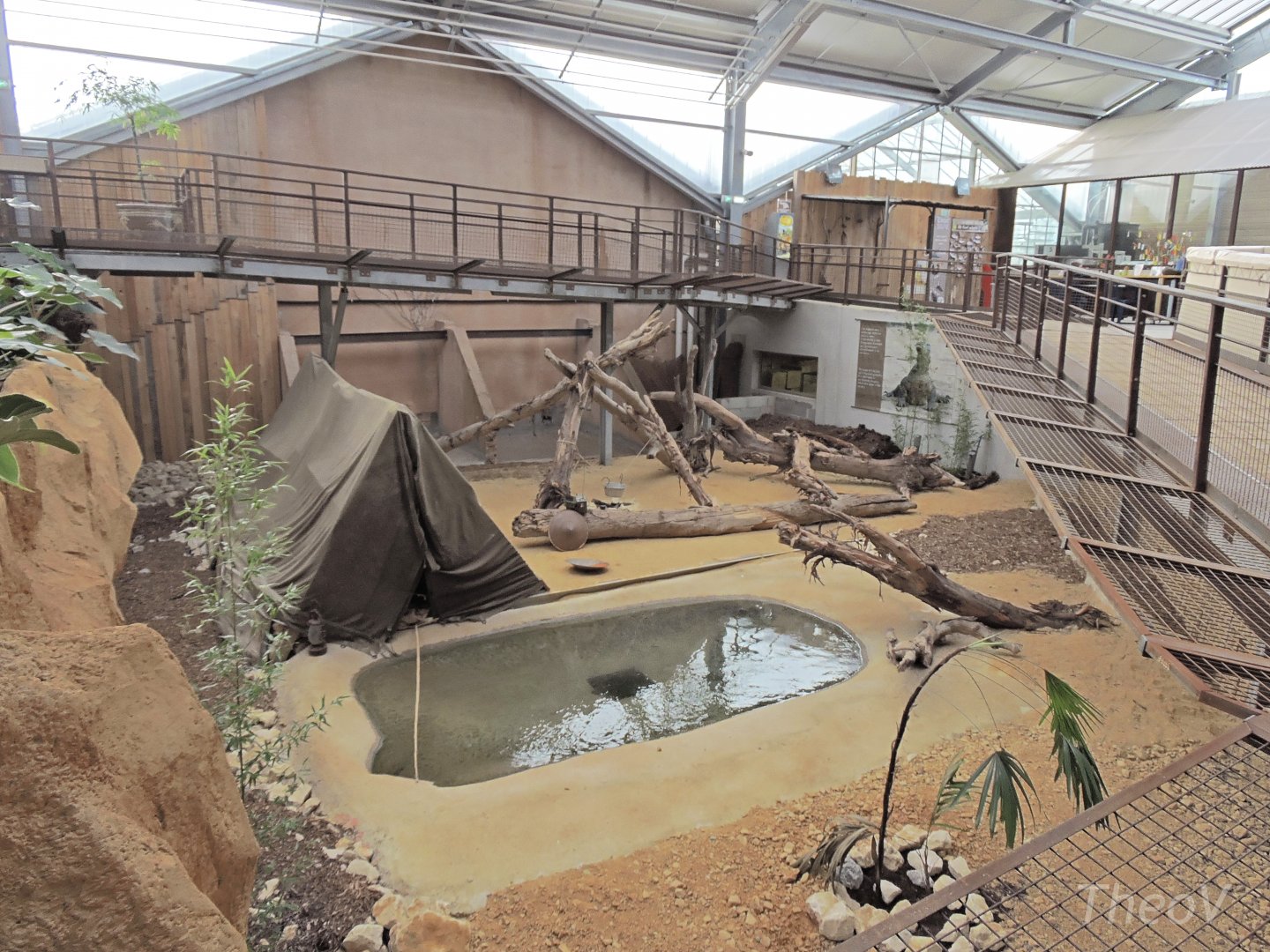 Komodo dragon exhibit [2016]