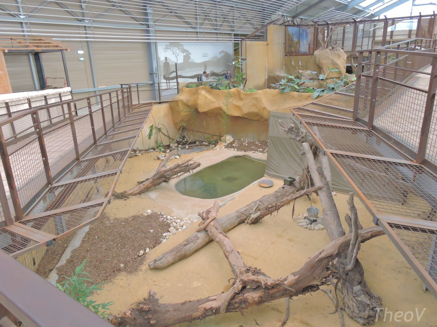 Komodo dragon exhibit [2016]