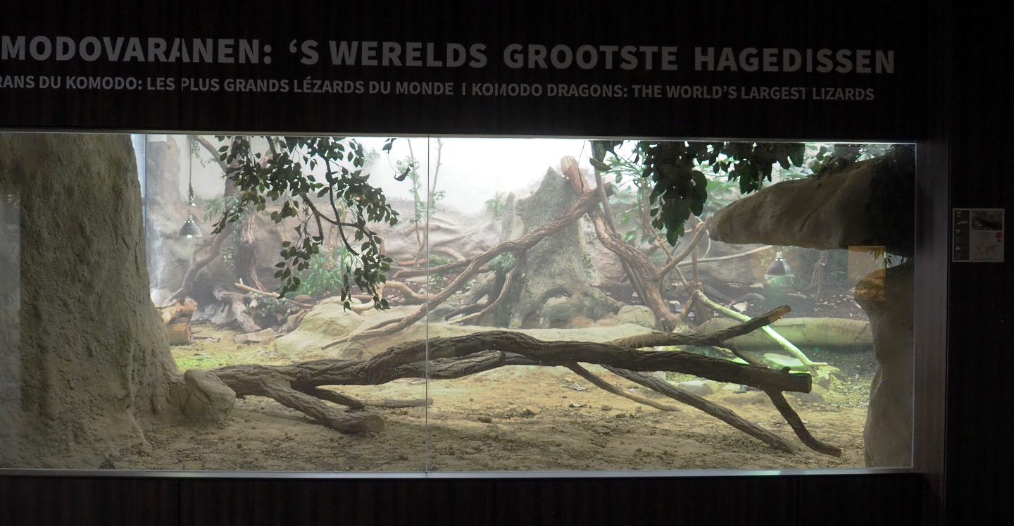 Komodo dragon exhibit, 2022-03-16
