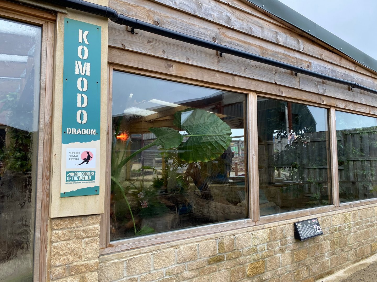 Komodo dragon exhibit 231119