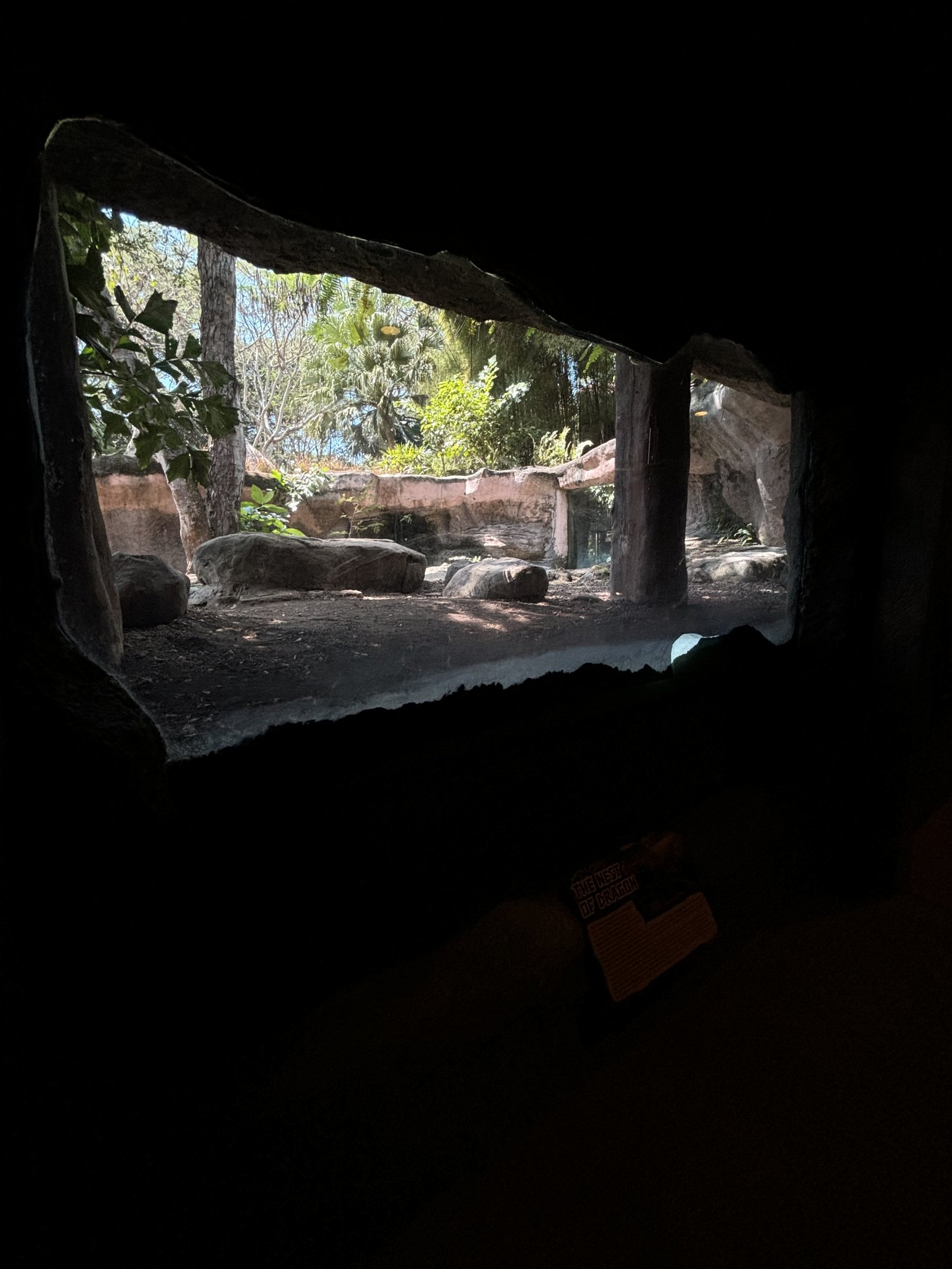 Komodo Dragon Exhibit #4
