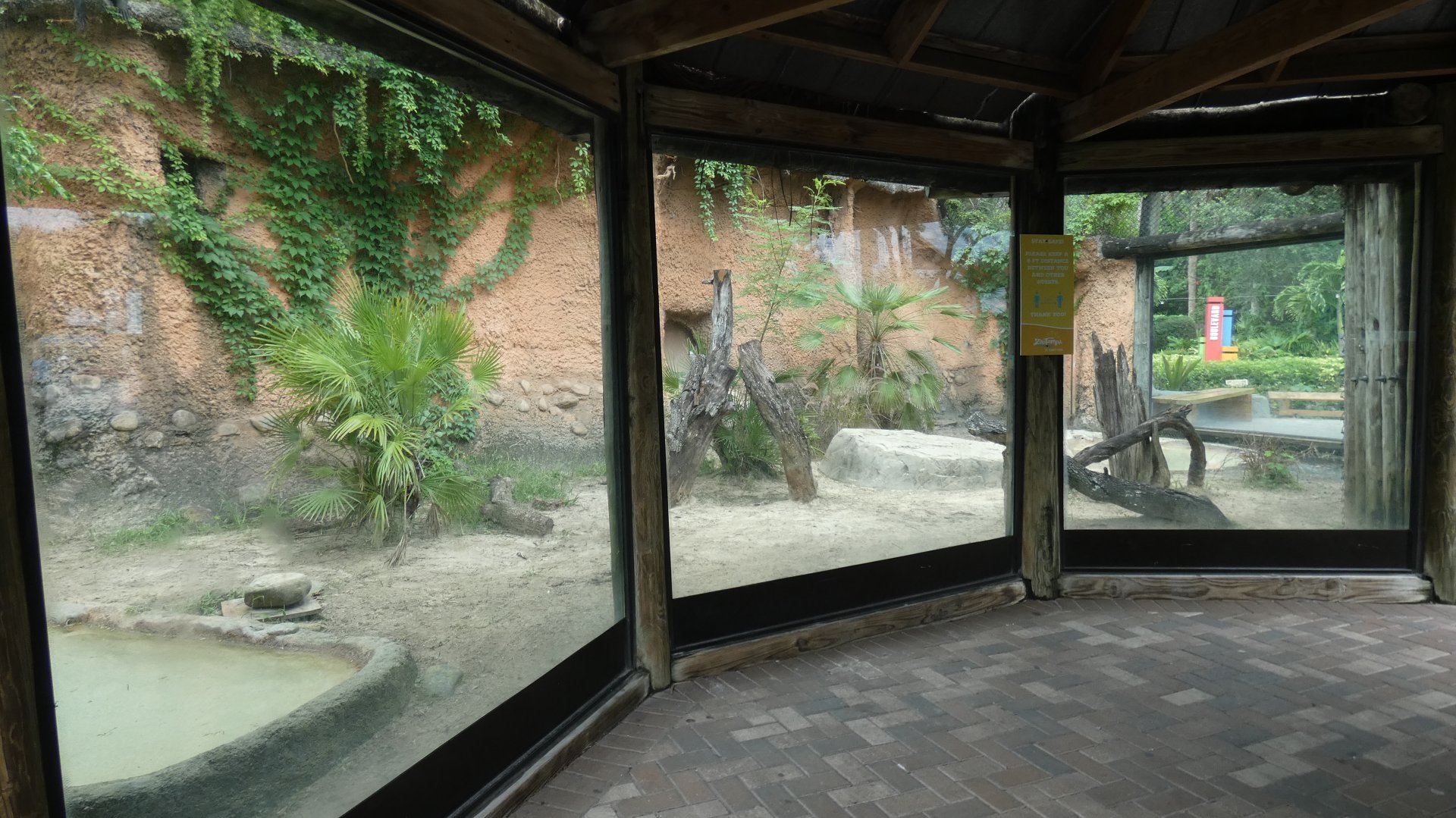 Komodo Dragon Exhibit, Asian Gardens - Aug. 2021