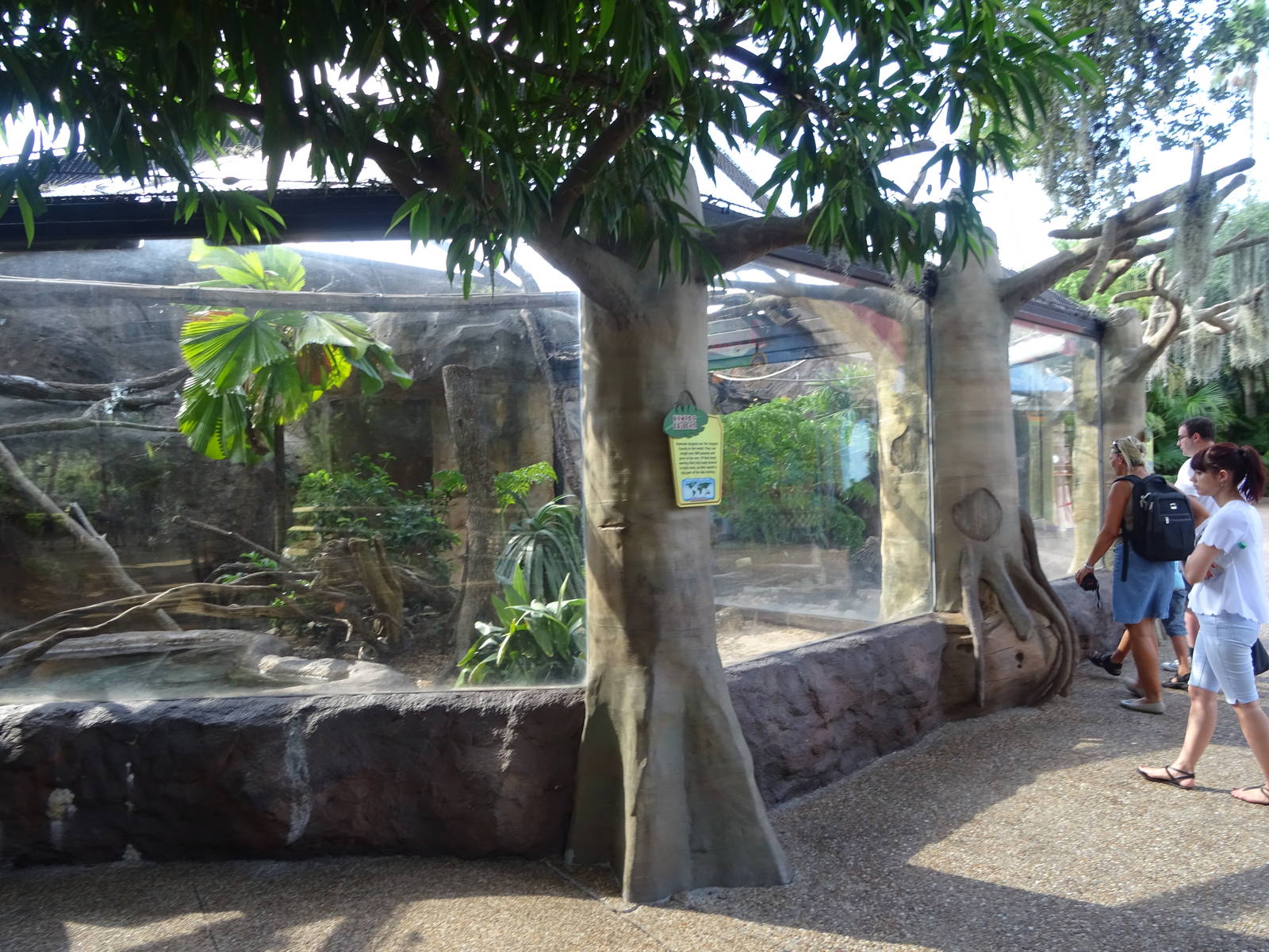 Komodo Dragon Exhibit at Busch Gardens Tampa