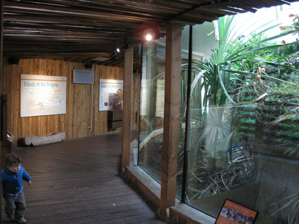 komodo dragon exhibit building