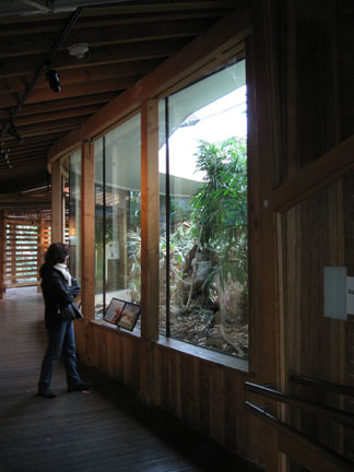 komodo dragon exhibit building