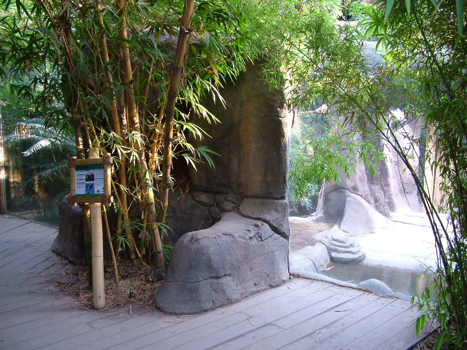 Komodo Dragon Exhibit - Gondwanaland, Leipzig, 02/09/11