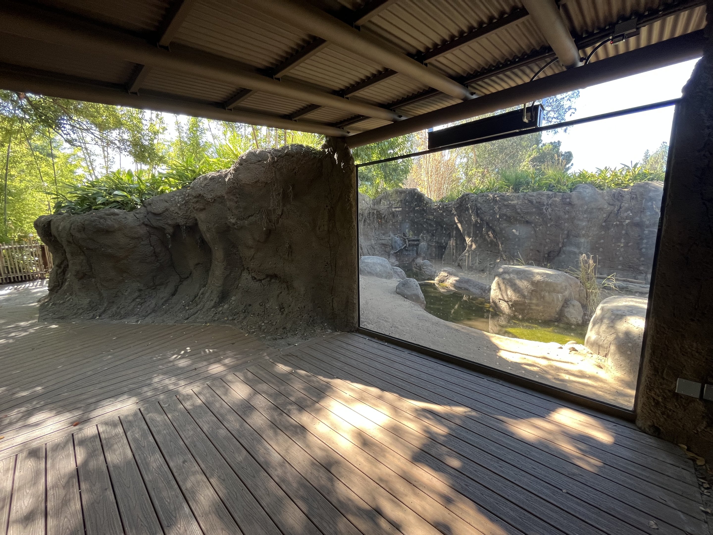 Komodo Dragon Exhibit - New in 2023