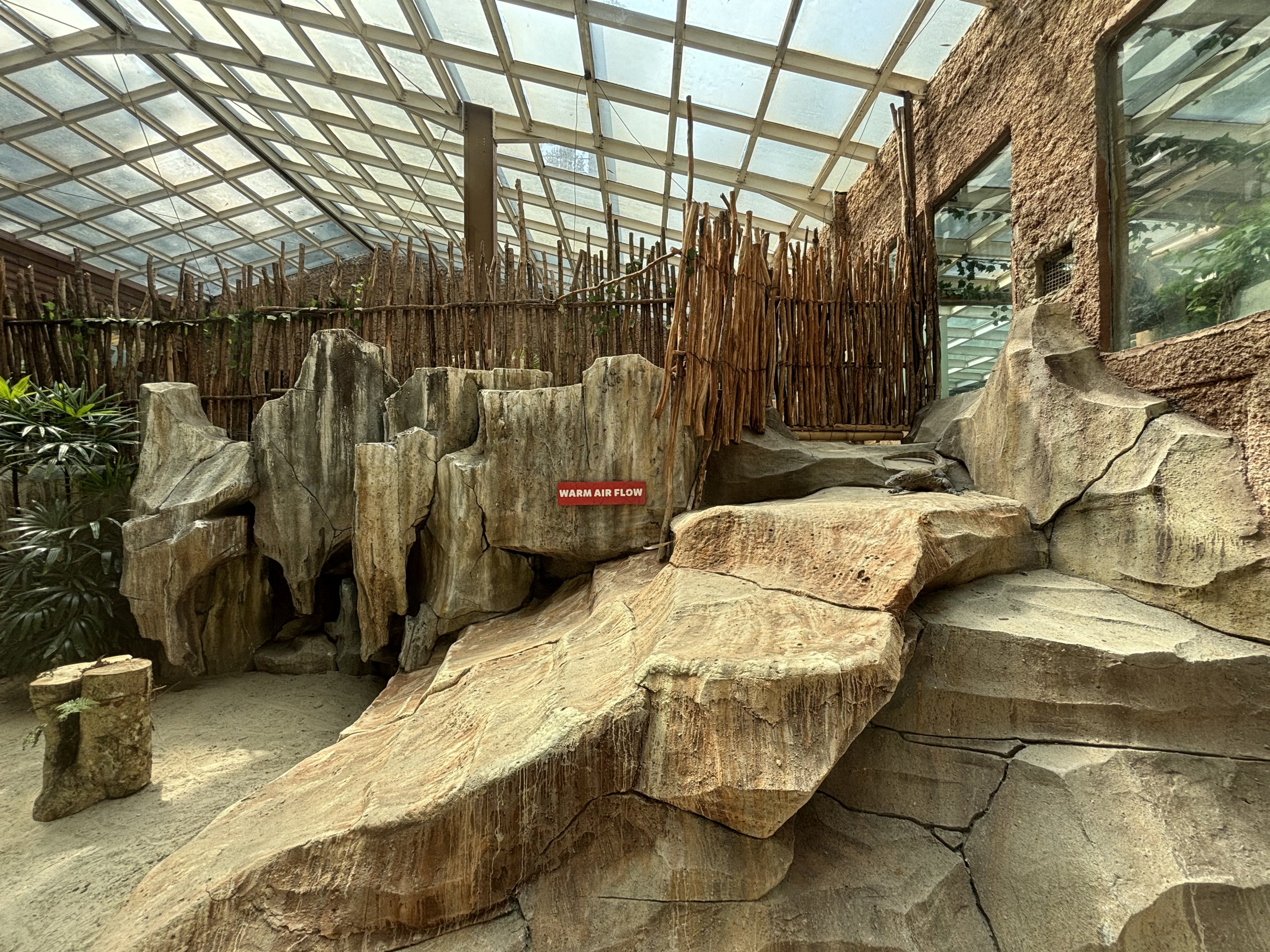 Komodo Dragon Exhibit - one of many