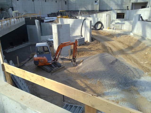 Komodo dragon exhibit, September 2010