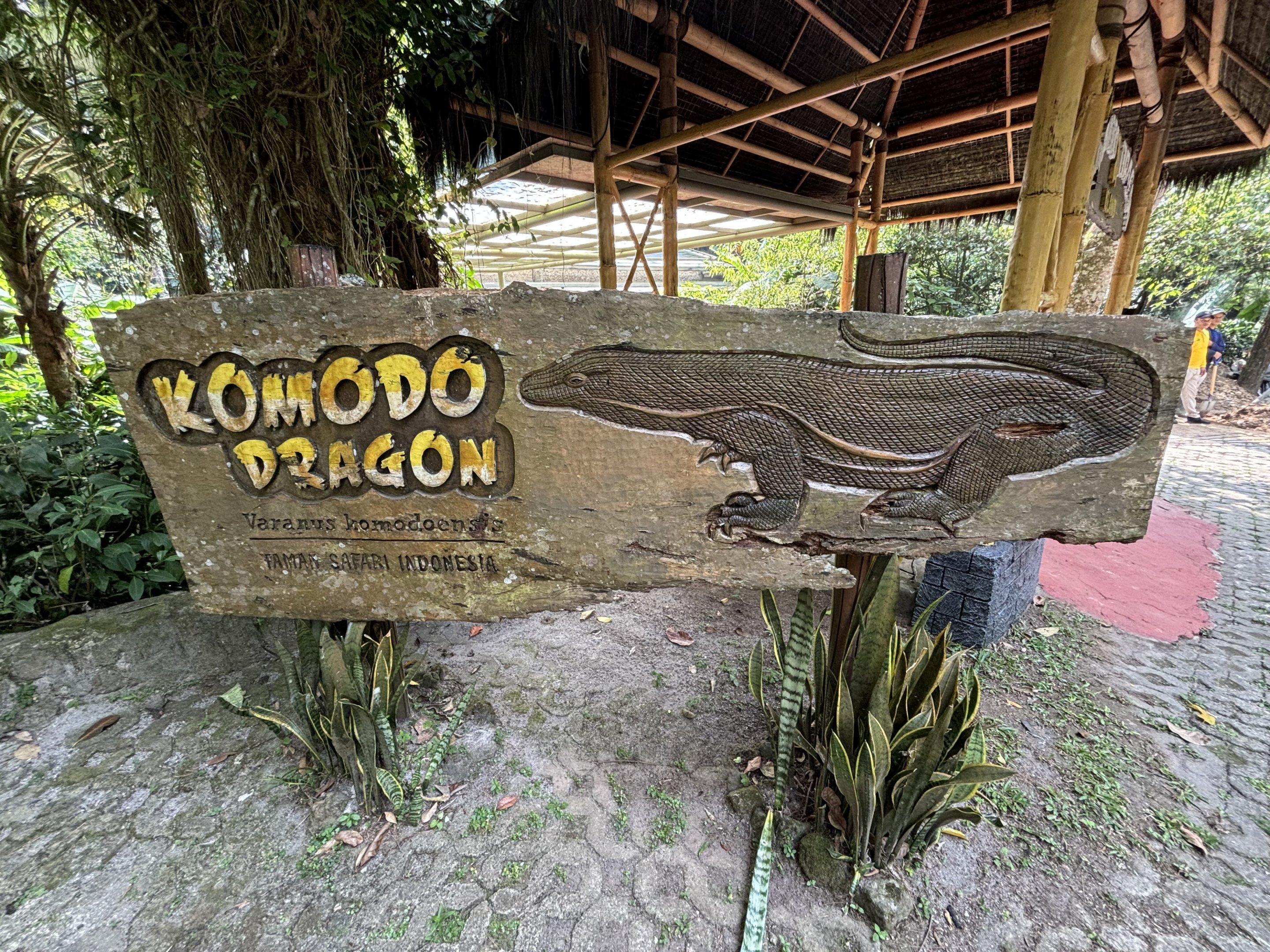 Komodo Dragon Exhibit Sign
