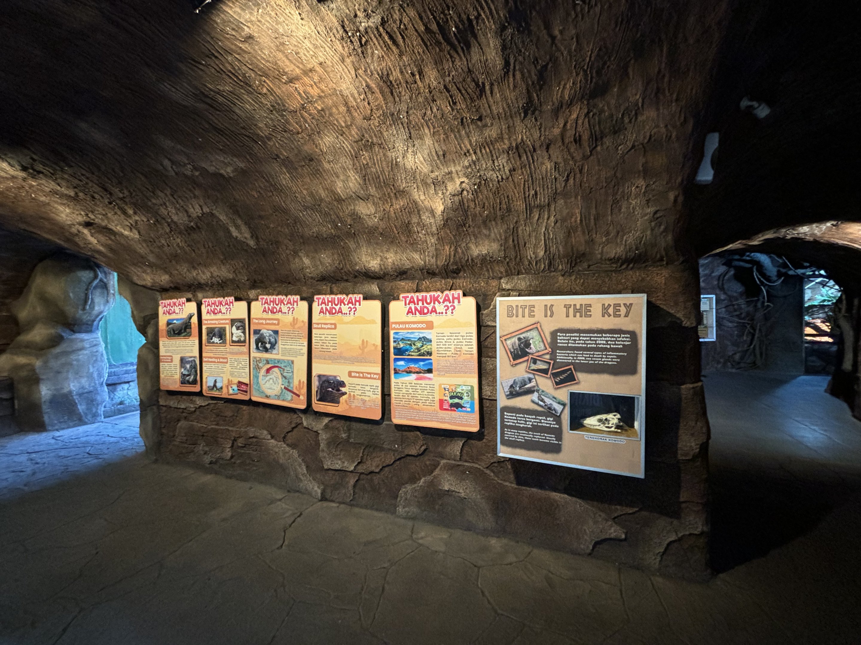 Komodo Dragon Exhibit Signs
