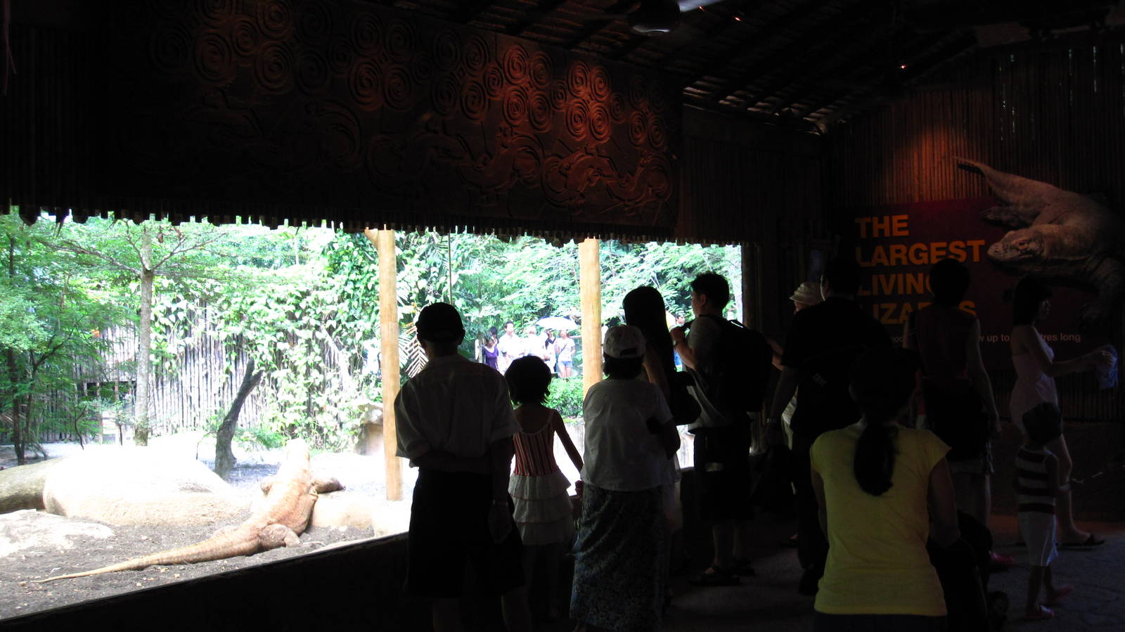 Komodo Dragon Exhibit, Singapore Zoo