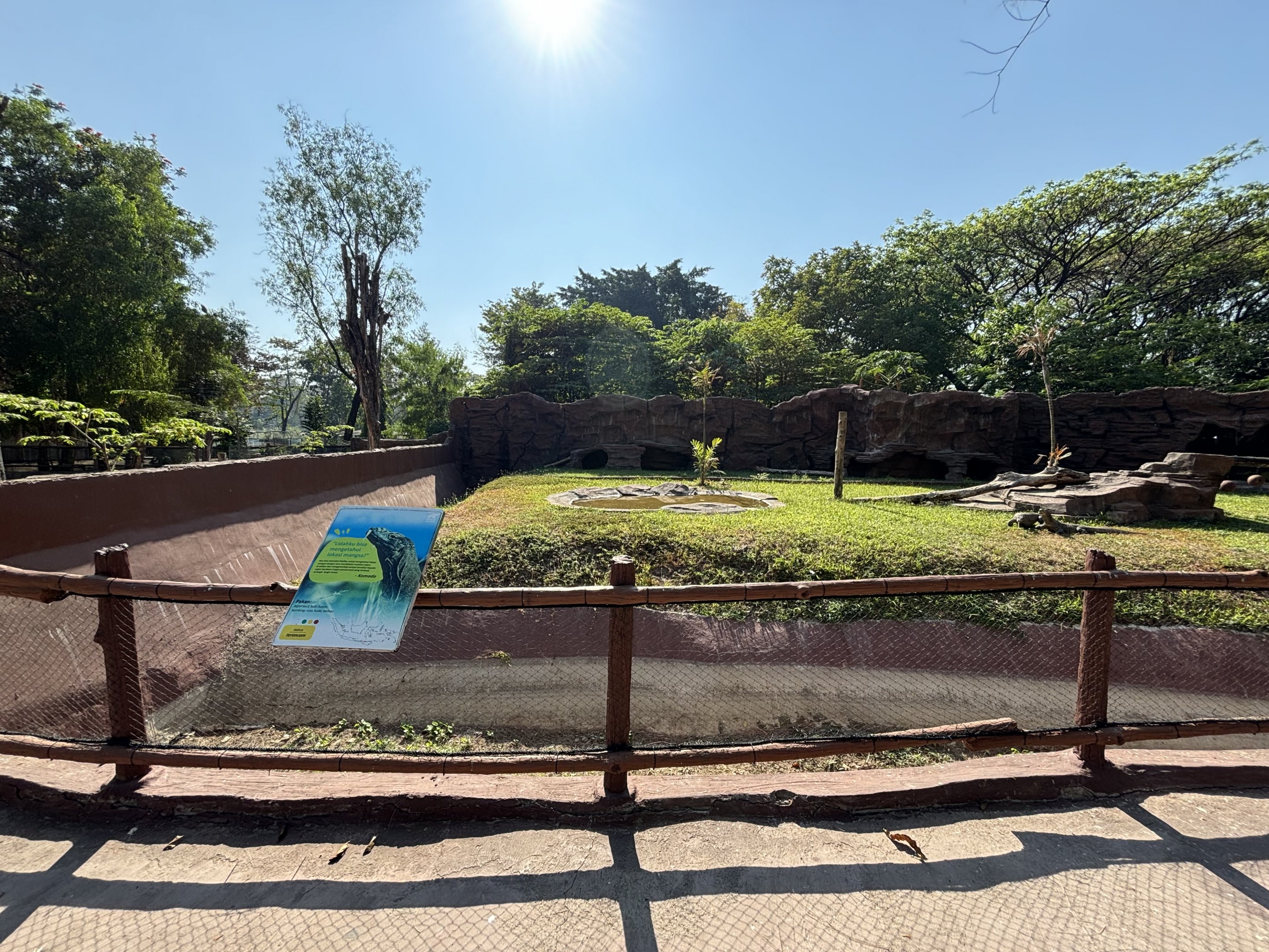 Komodo Dragon Exhibit - Solo Safari