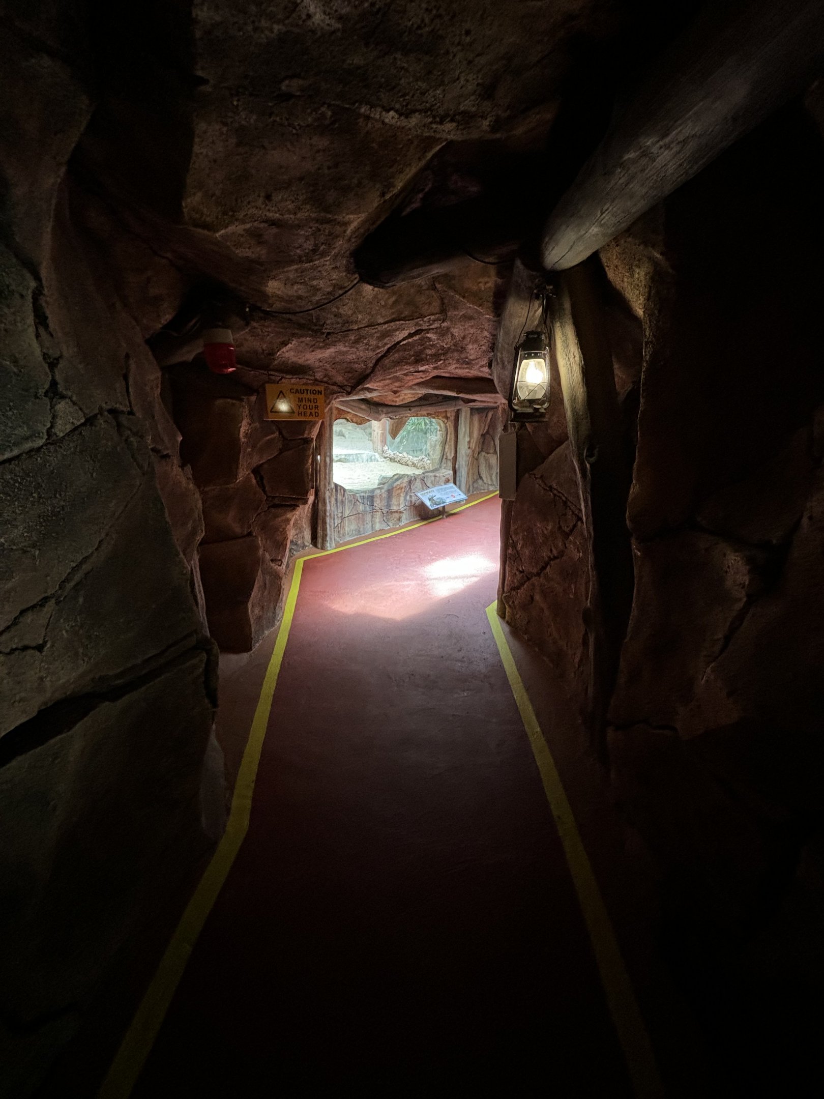 Komodo Dragon Exhibit Tunnel