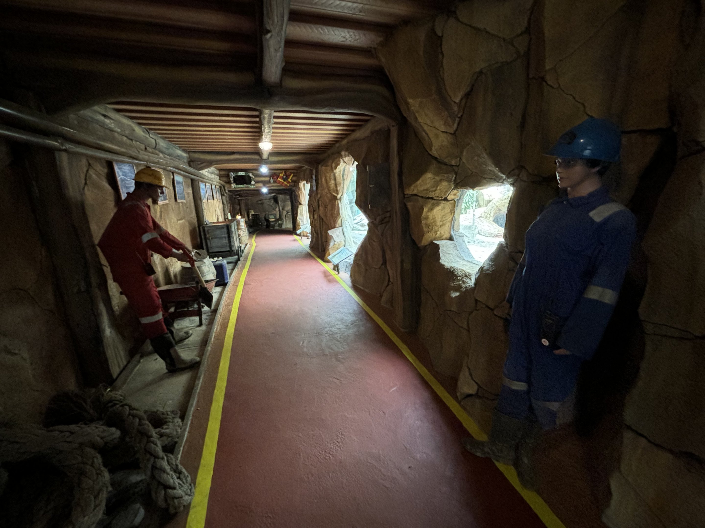 Komodo Dragon Exhibit Tunnel