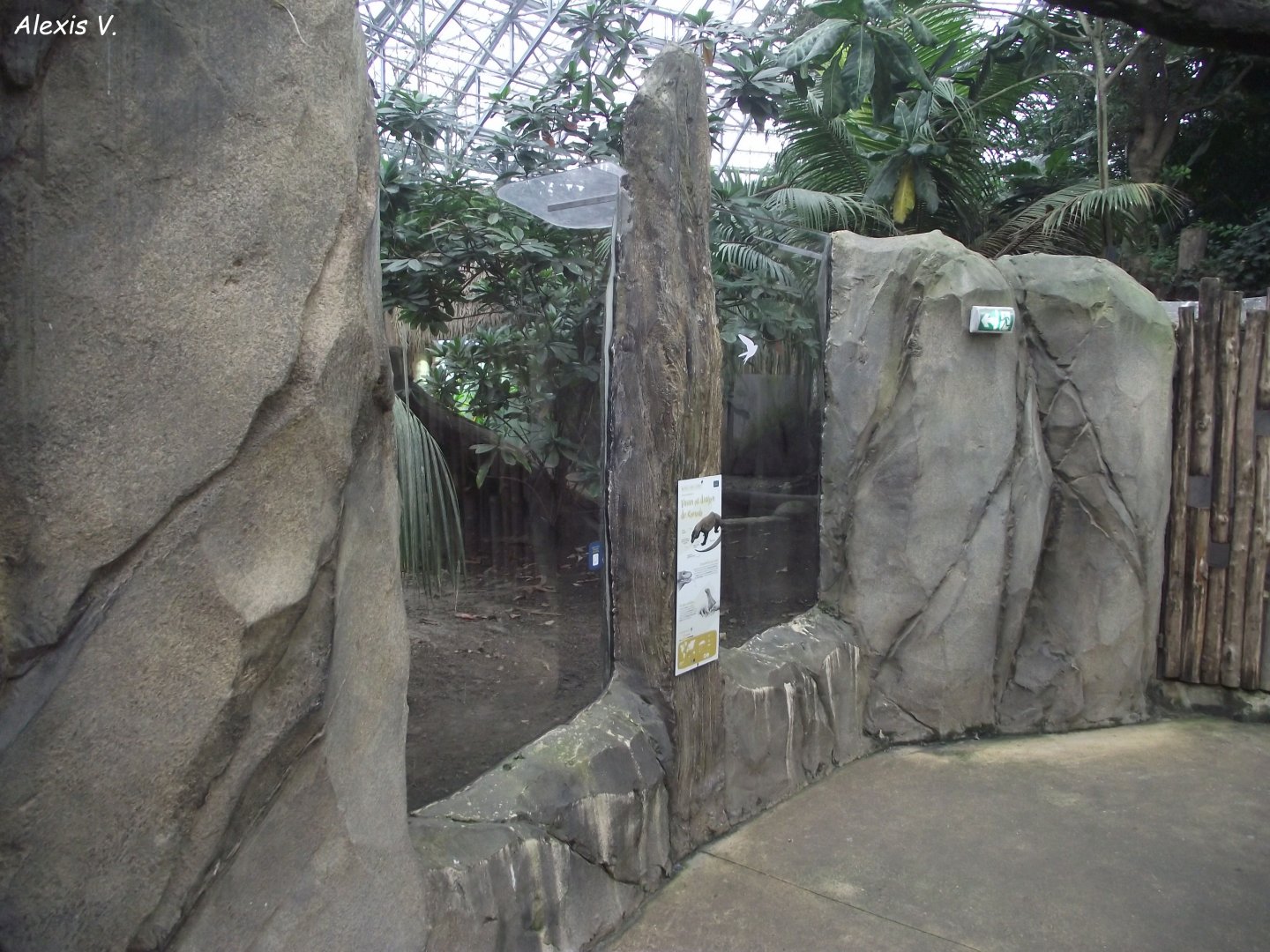 Komodo Dragon exhibit - Zooparc de Beauval - 11/2021