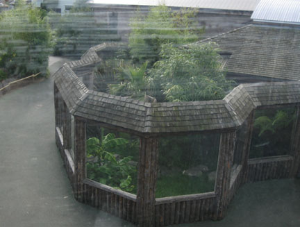 komodo dragon exhibit