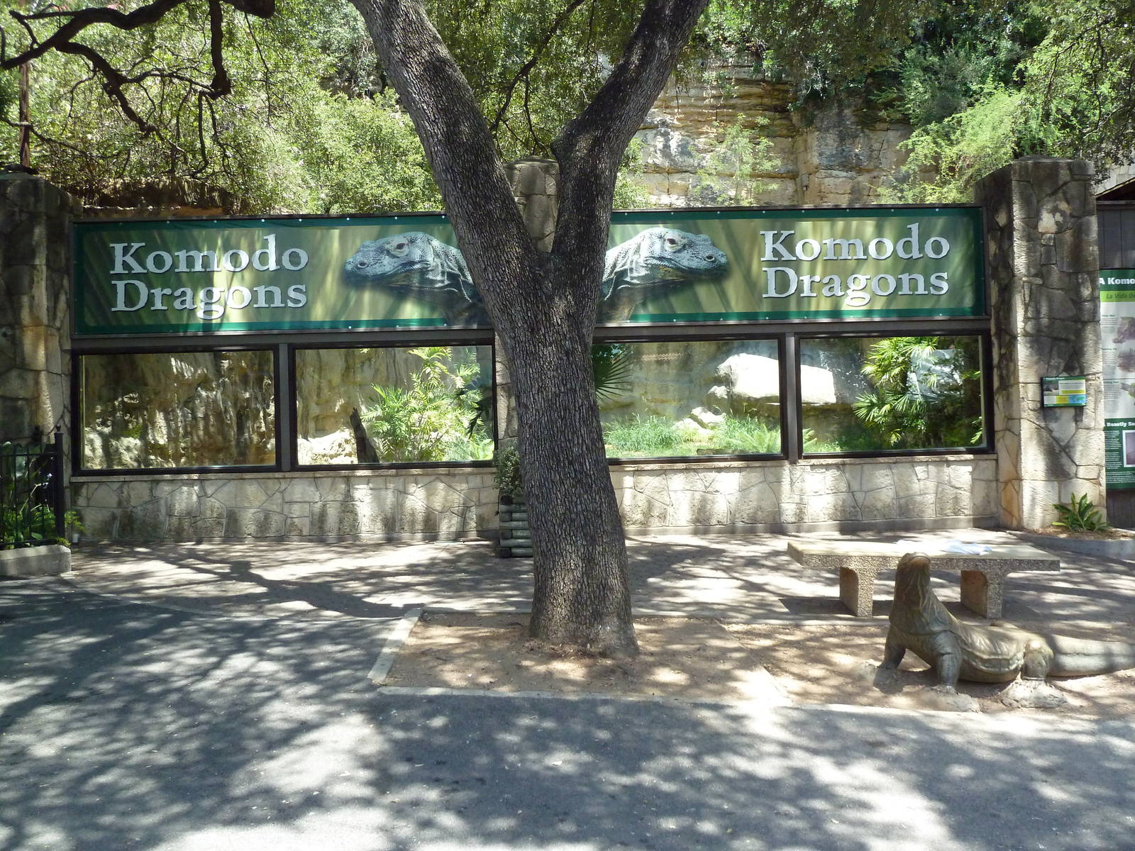 Komodo Dragon Exhibit
