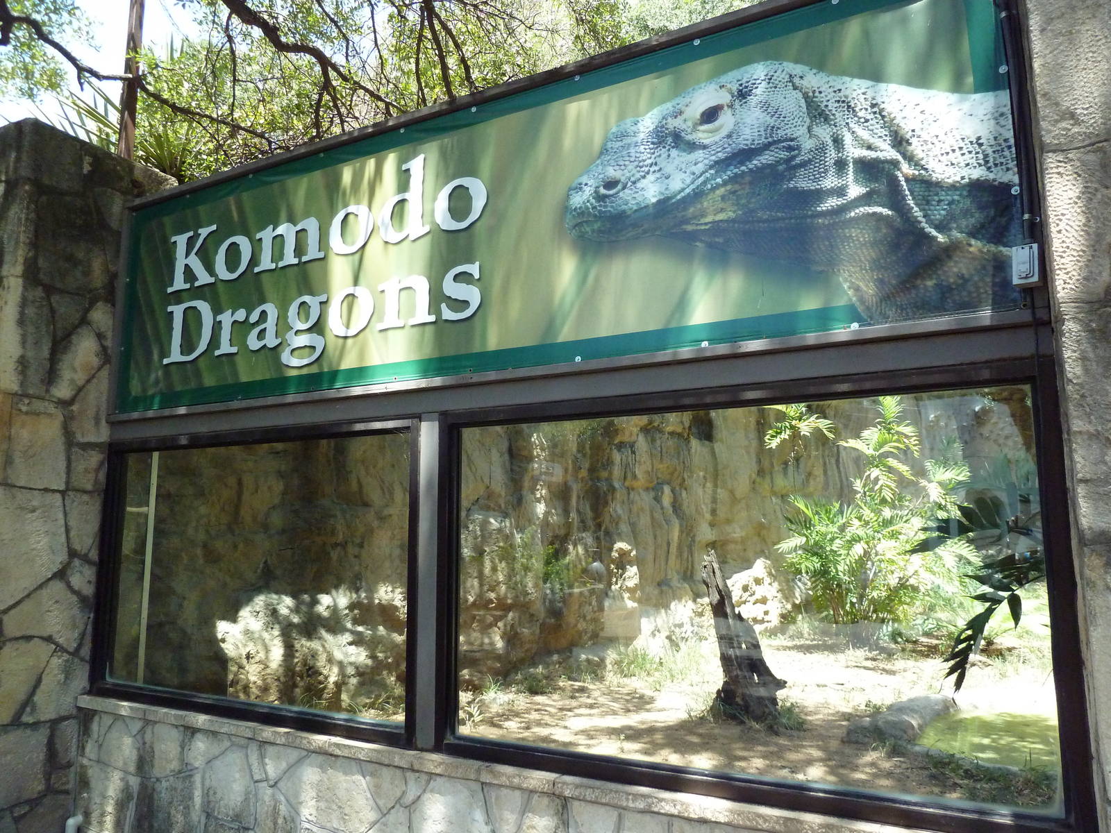 Komodo Dragon Exhibit