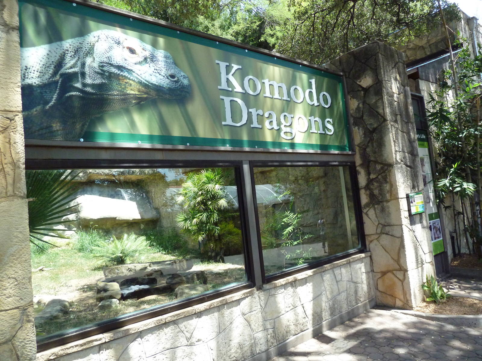 Komodo Dragon Exhibit