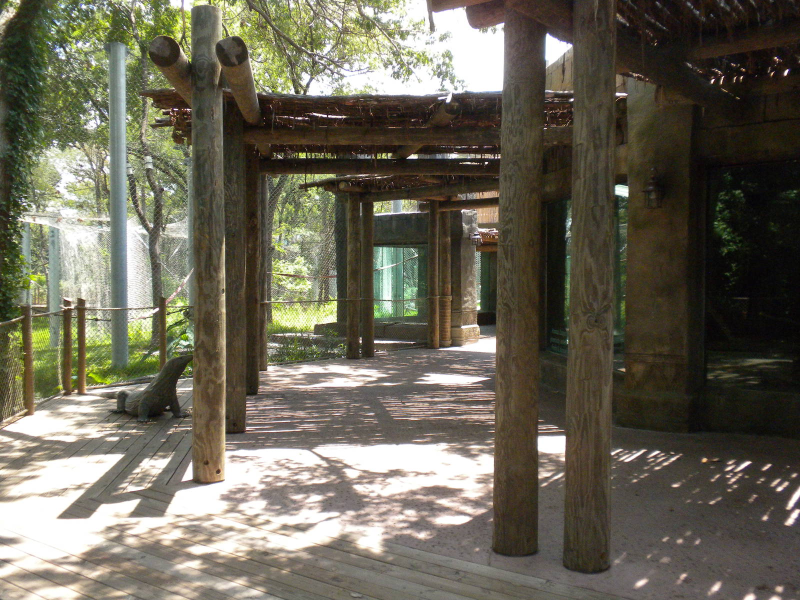 Komodo Dragon exhibit