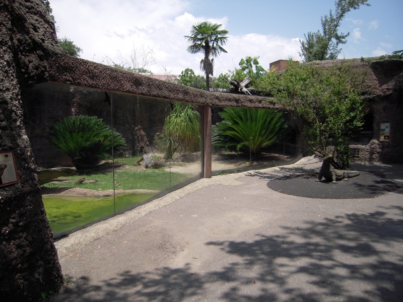 Komodo Dragon Exhibit