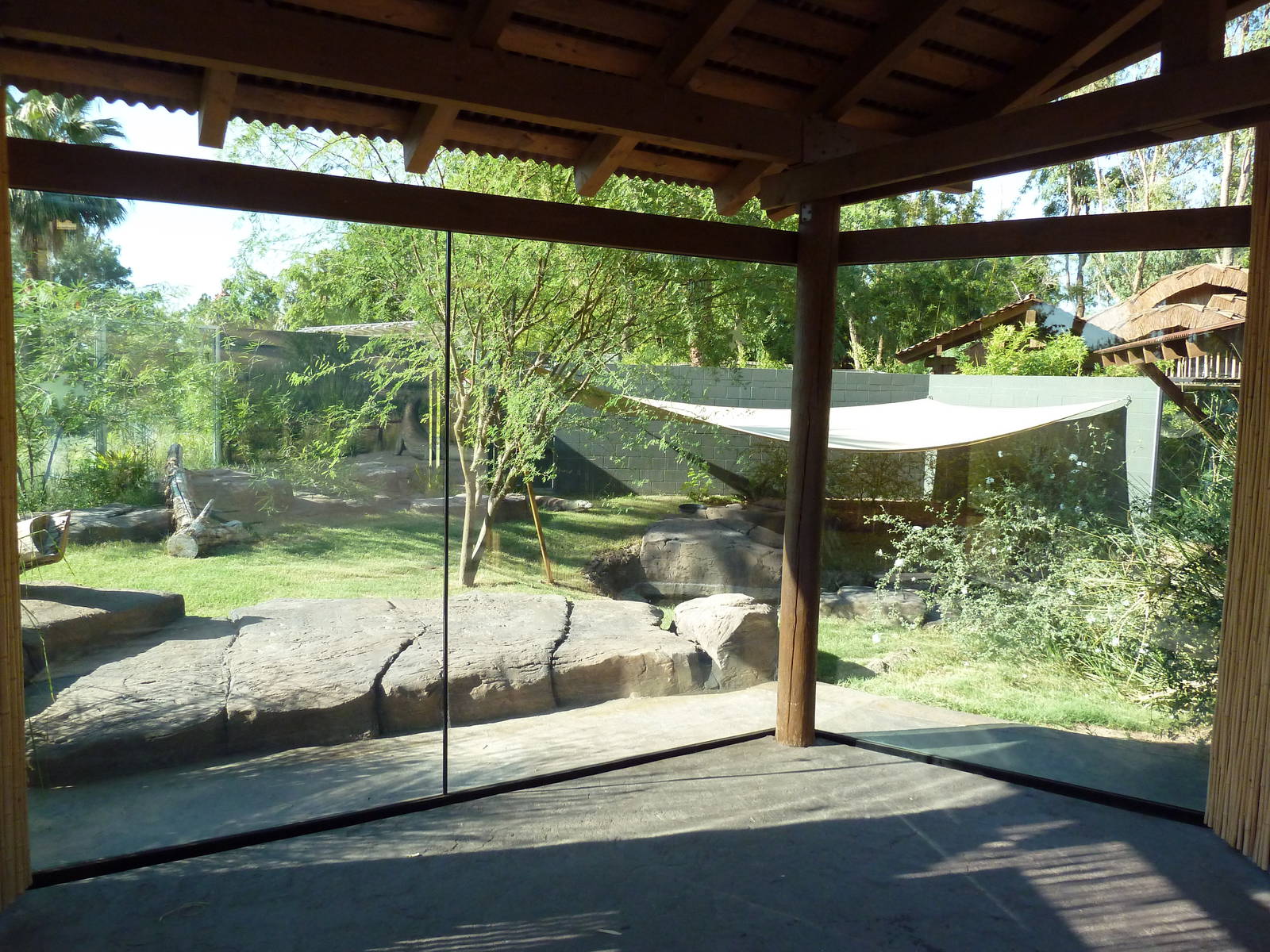 Komodo Dragon Exhibit