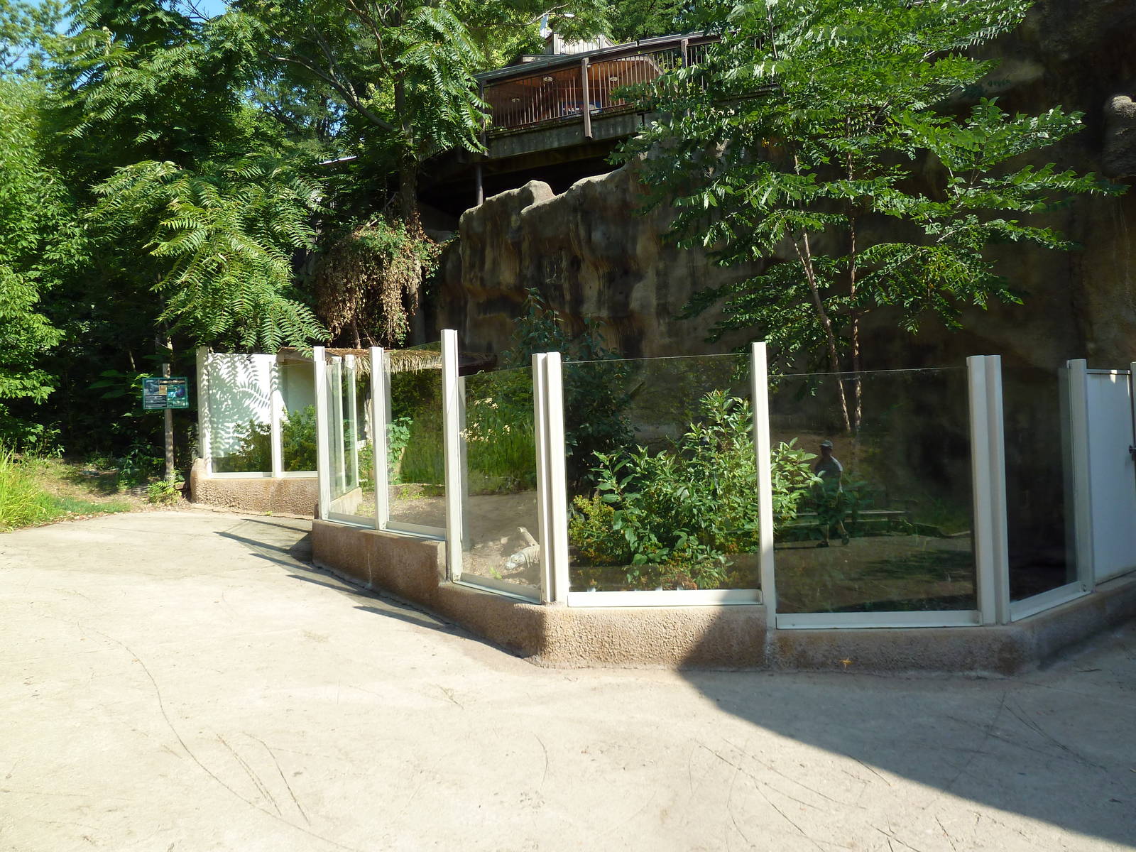 Komodo Dragon Exhibit