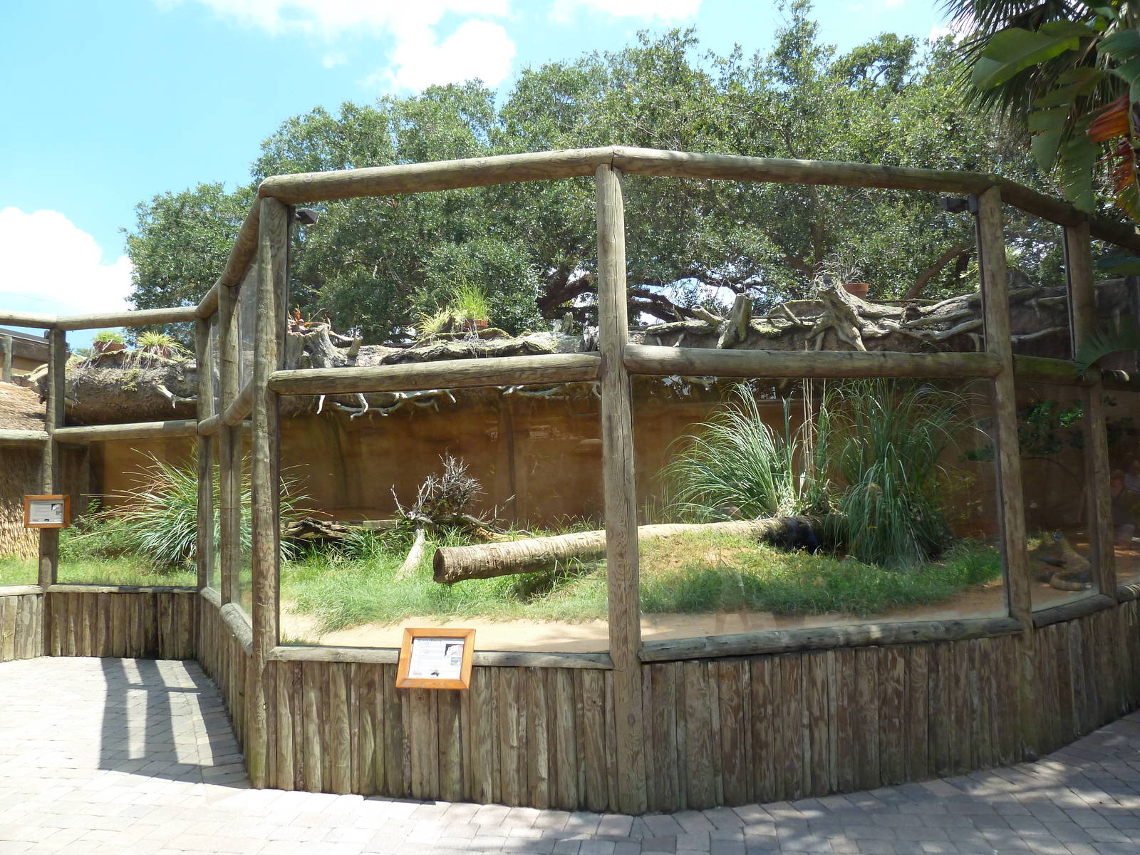 Komodo Dragon Exhibit