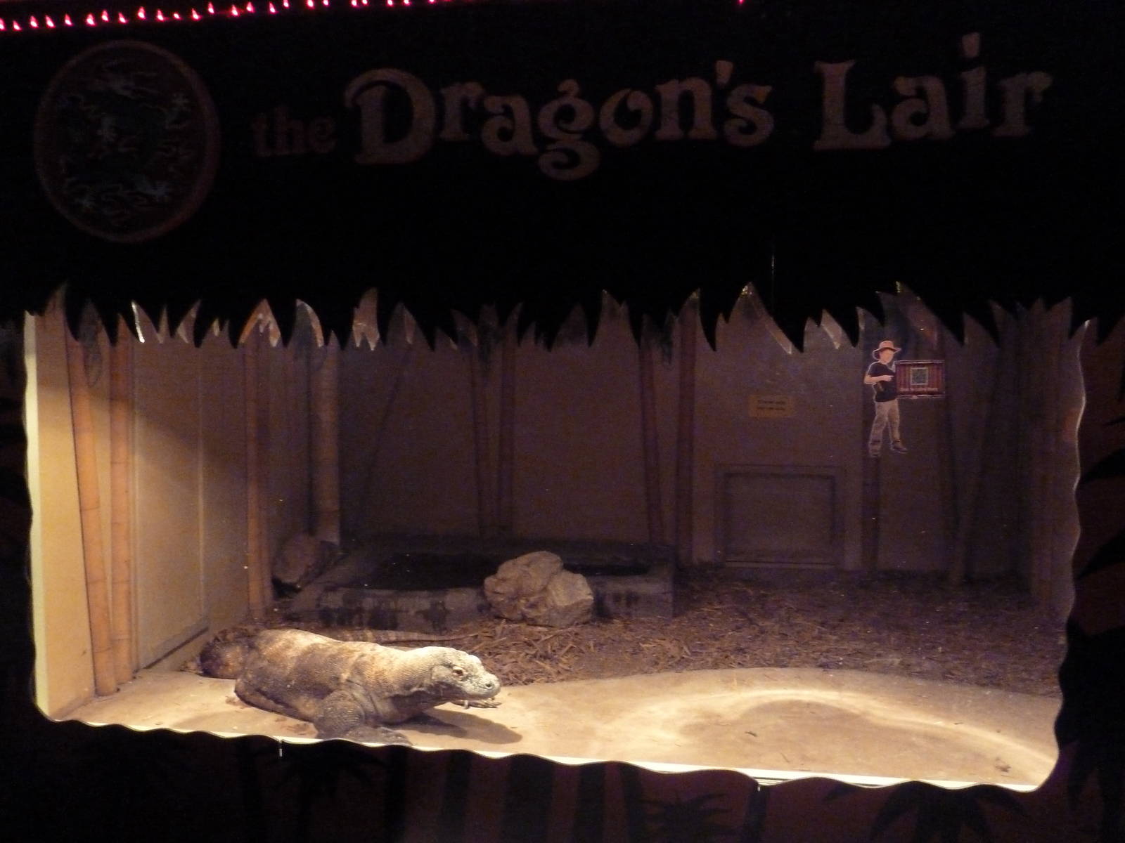 Komodo Dragon Exhibit