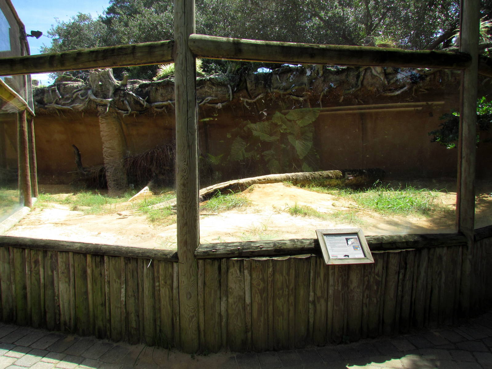 Komodo Dragon Exhibit